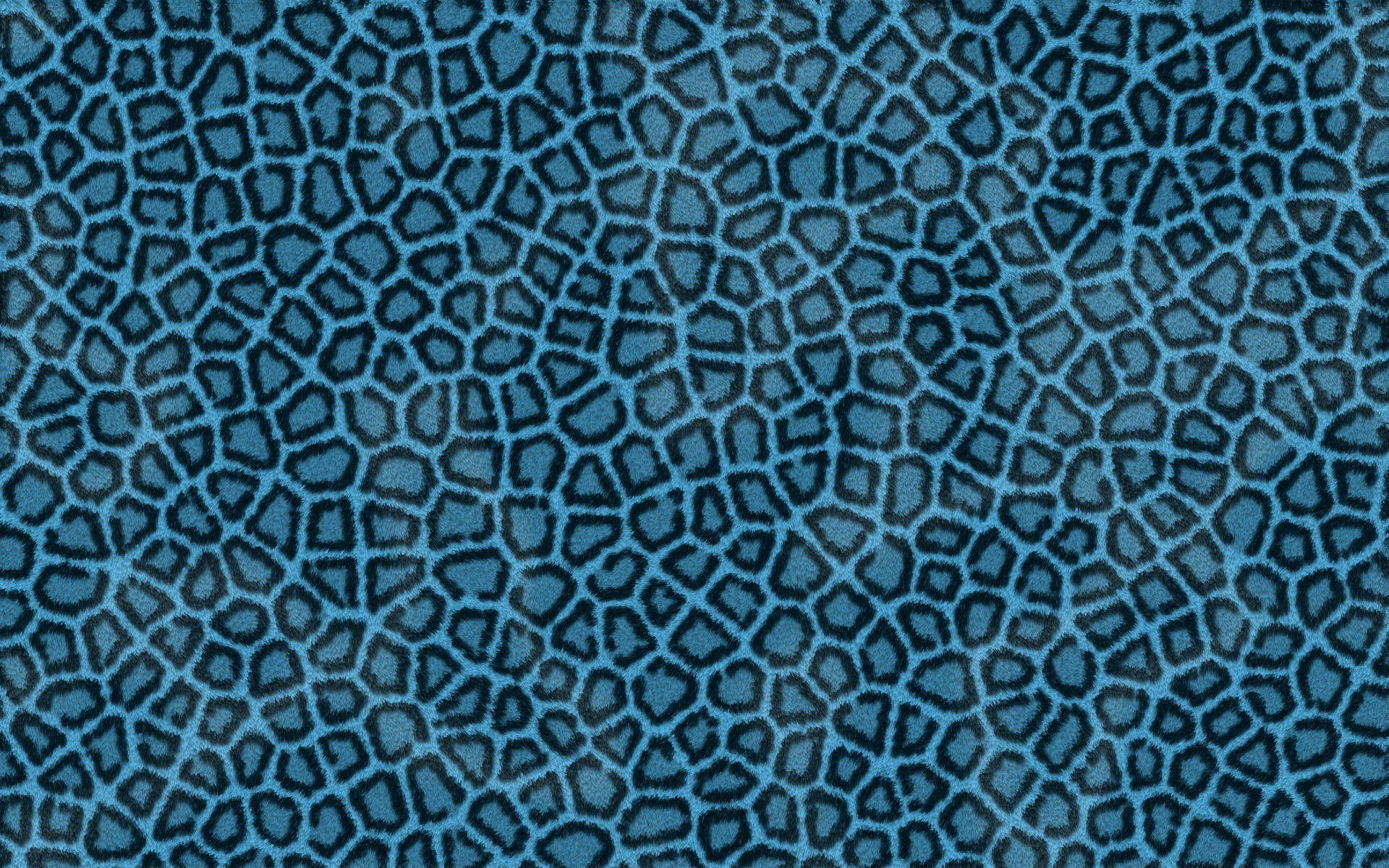 material, small, dark, animal scale, abstract backgrounds, pattern, blue, macro, surface level, light, extreme close-up, 1080P, no People, abstract, reptile, HD Wallpaper