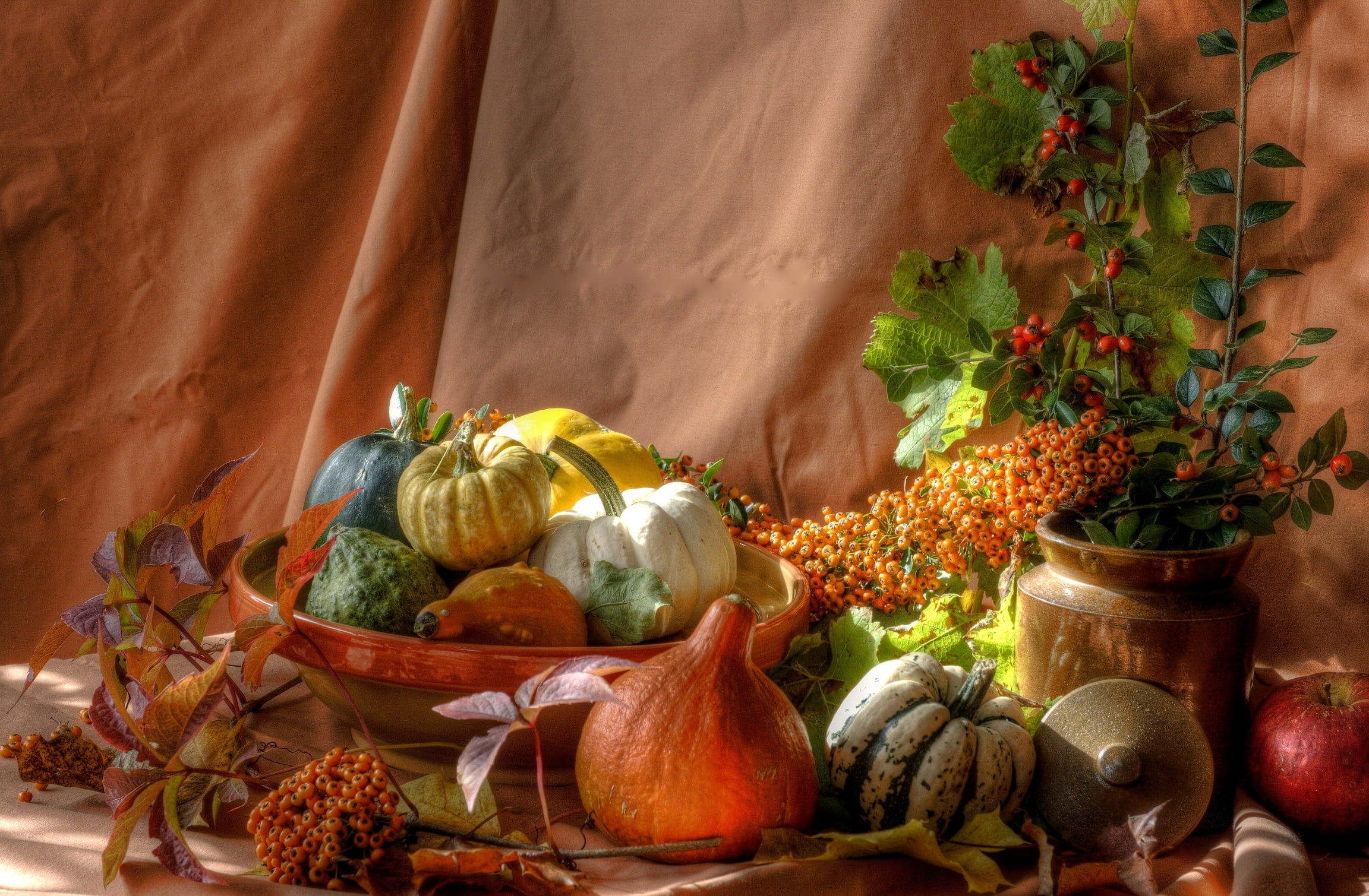 gourd Family, crop, pumpkin, fruit, pumpkins, halloween, vegetable, plant, harvesting, spice, autumn, bumpy, shrubs, freshness, flower, food and drink, HD Wallpaper