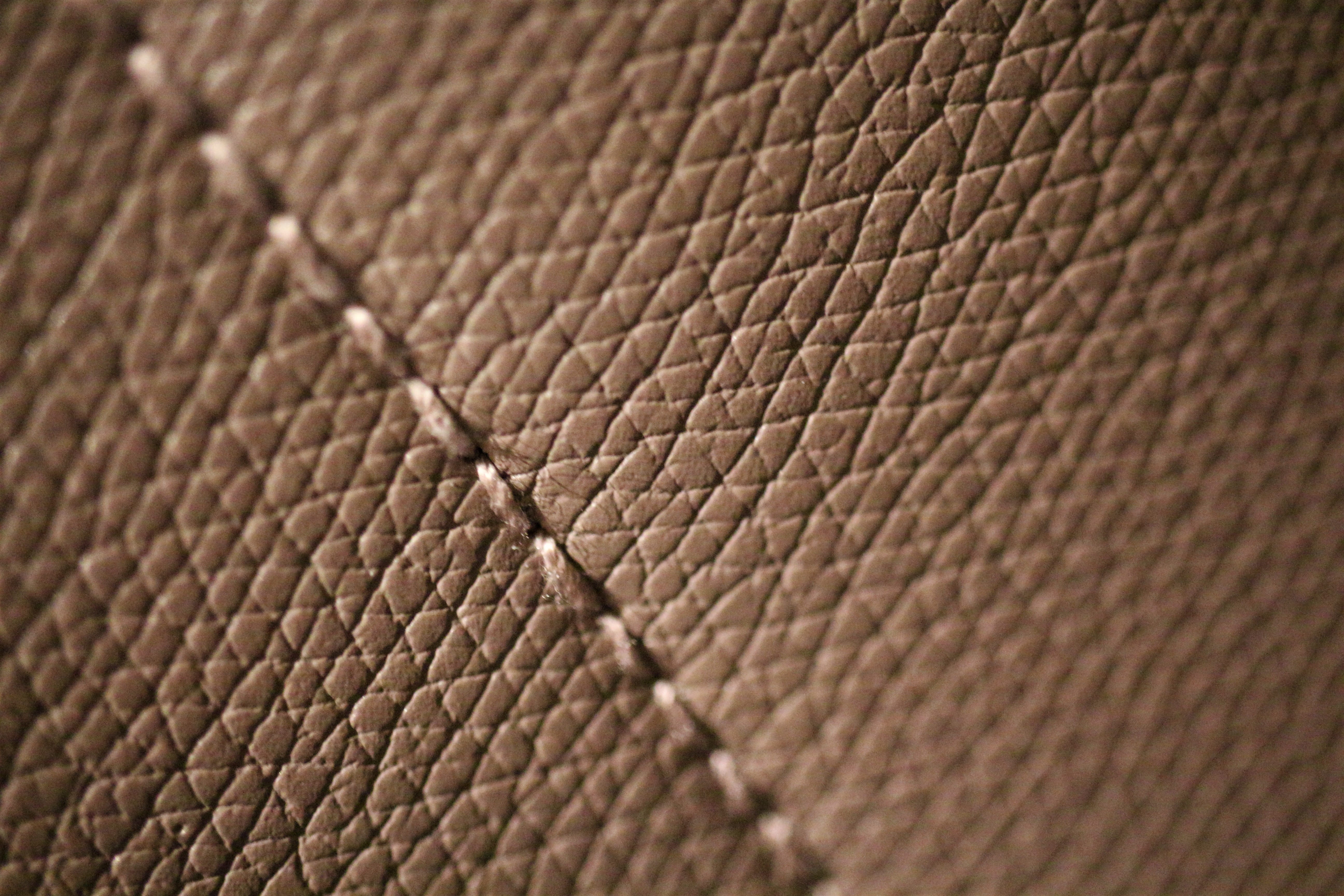 animal wildlife, close-up, no people, backgrounds, studio shot, close to, extreme close-up, indoors, 5K, sewing, orange color, ball, wrinkled, textured, HD Wallpaper