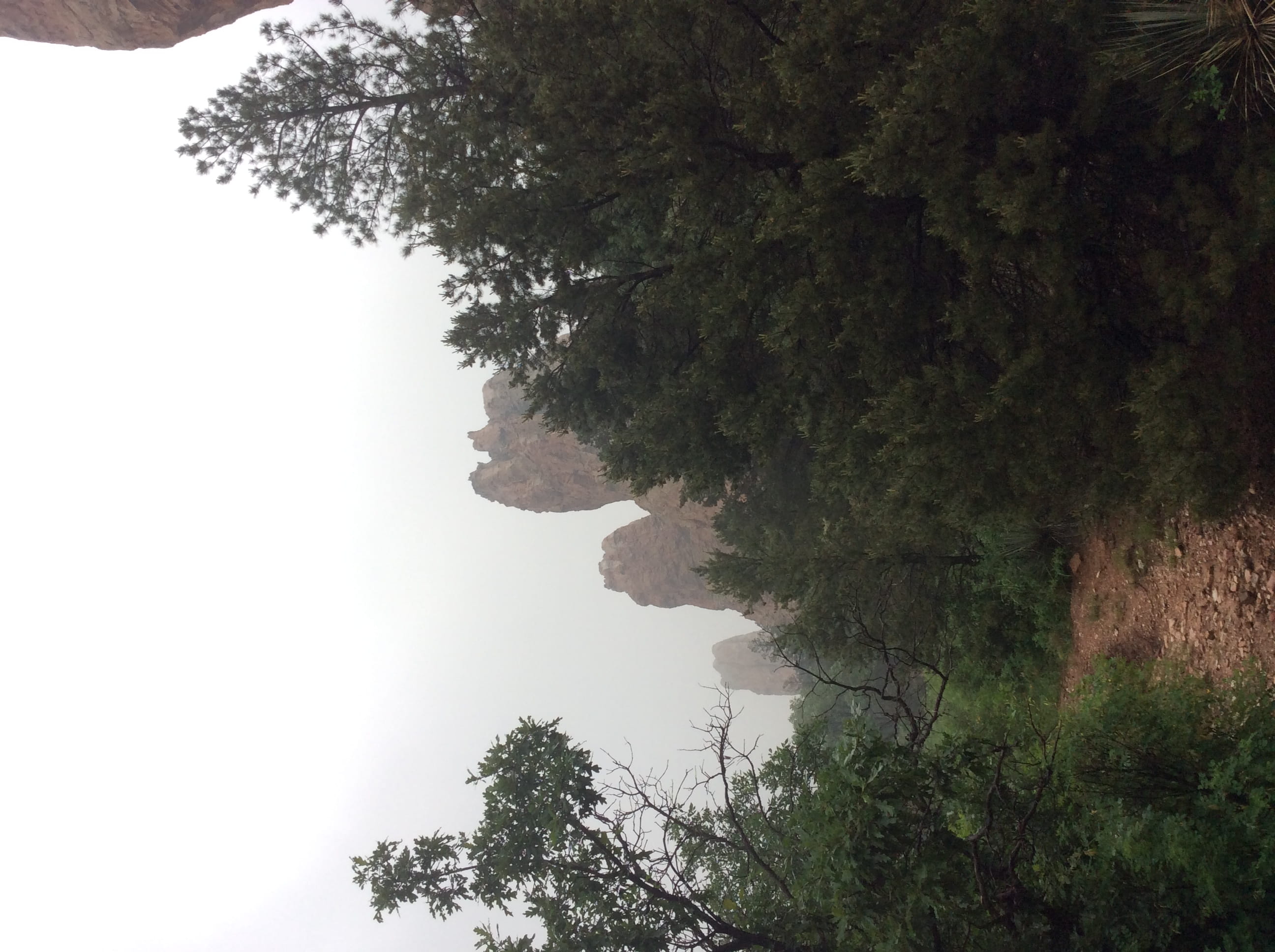 water, reflection, outdoors, sky, scenics - nature, land, no people, path, tranquil scene, 2K, day, glen eyrie castle, forest, colorado springs, plant, HD Wallpaper