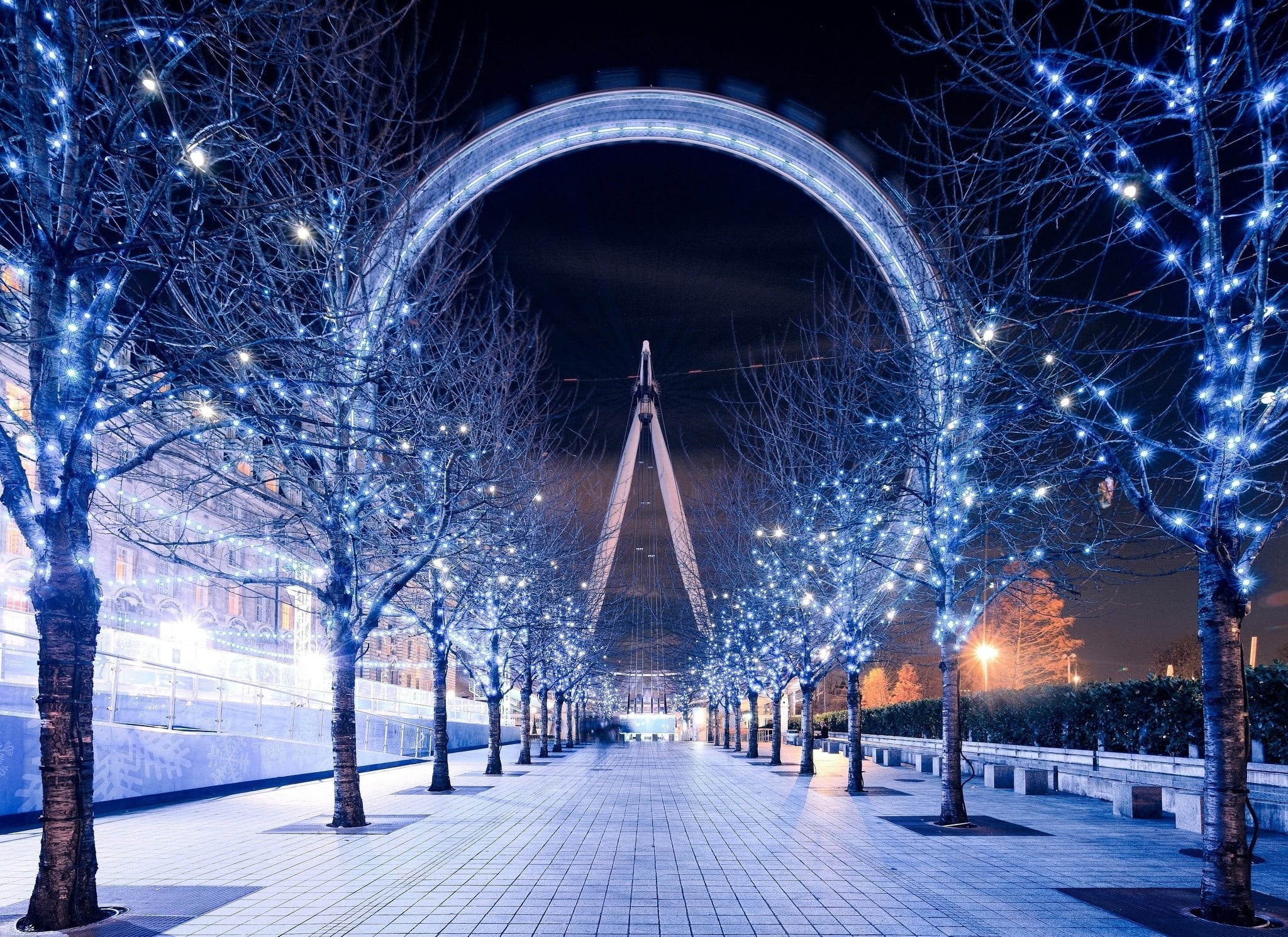 night, season, christmas, tree, winter, 1080P, blue, urban Scene, cold temperature, tower, snowing, city, light - Natural Phenomenon, cold - Temperature, HD Wallpaper