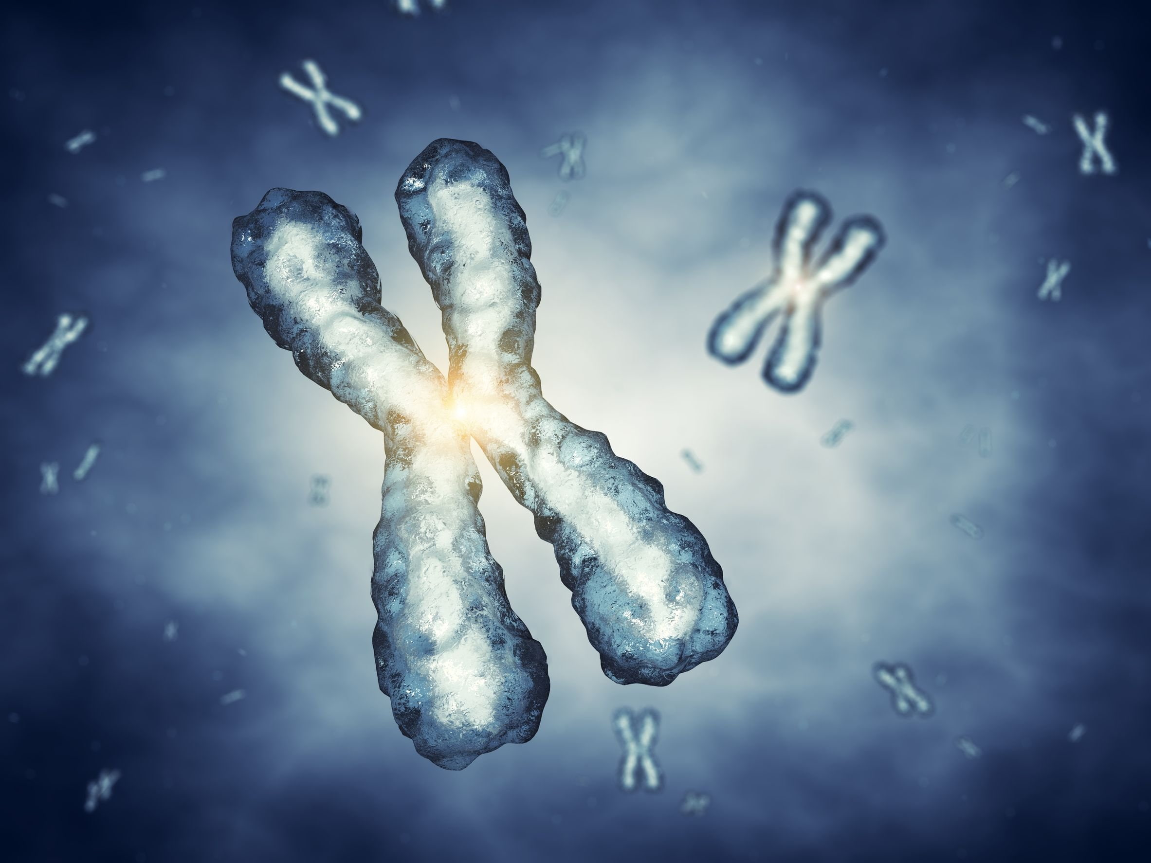 chromosome, psychedelic, pattern, DNA, d, Genetic, 1080P, 3, HD Wallpaper