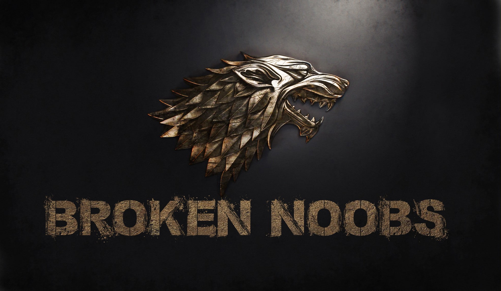 indoors, single word, sign, communication, flying, text, bird, close-up, 1080P, video games wolf csgo team, vertebrate, black background, feather, animal themes, HD Wallpaper