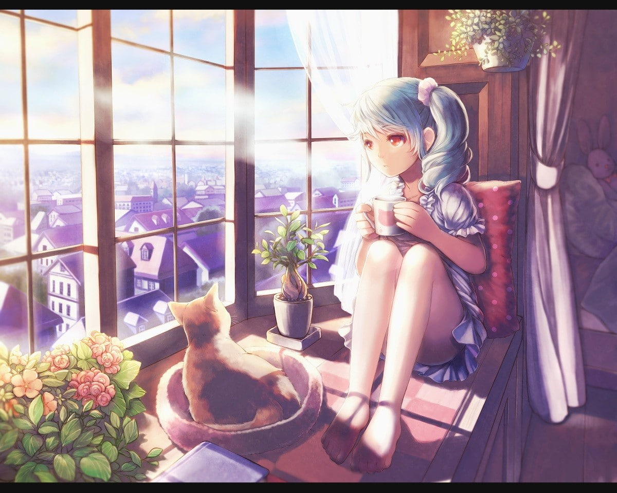 cat, anime, original characters, cup, 480P, anime girls, window, HD Wallpaper