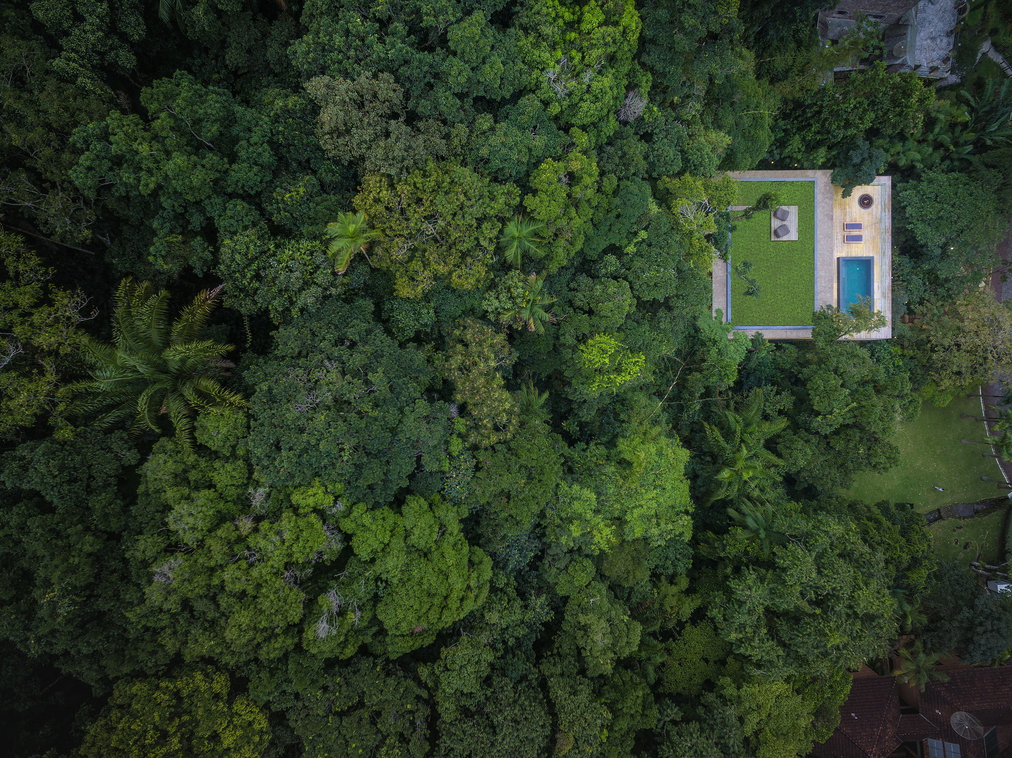modern, house, rainforest, 1080P, drone photo, rooftops, palm trees, Brasil, forest, jungle, grass, swimming pool, trees, HD Wallpaper