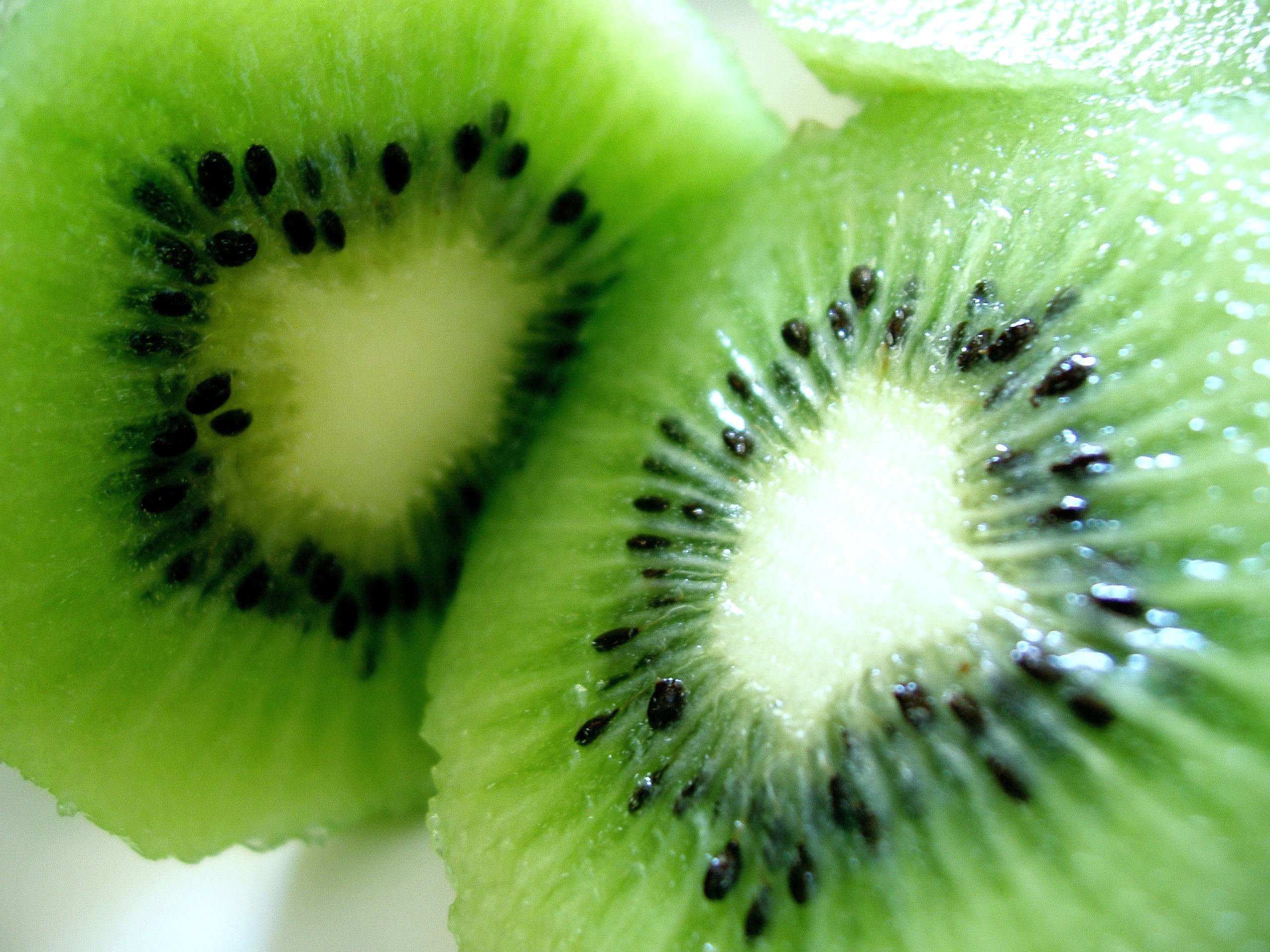 macro, kiwi (fruit), green, fruit, photography, 2K, food, HD Wallpaper