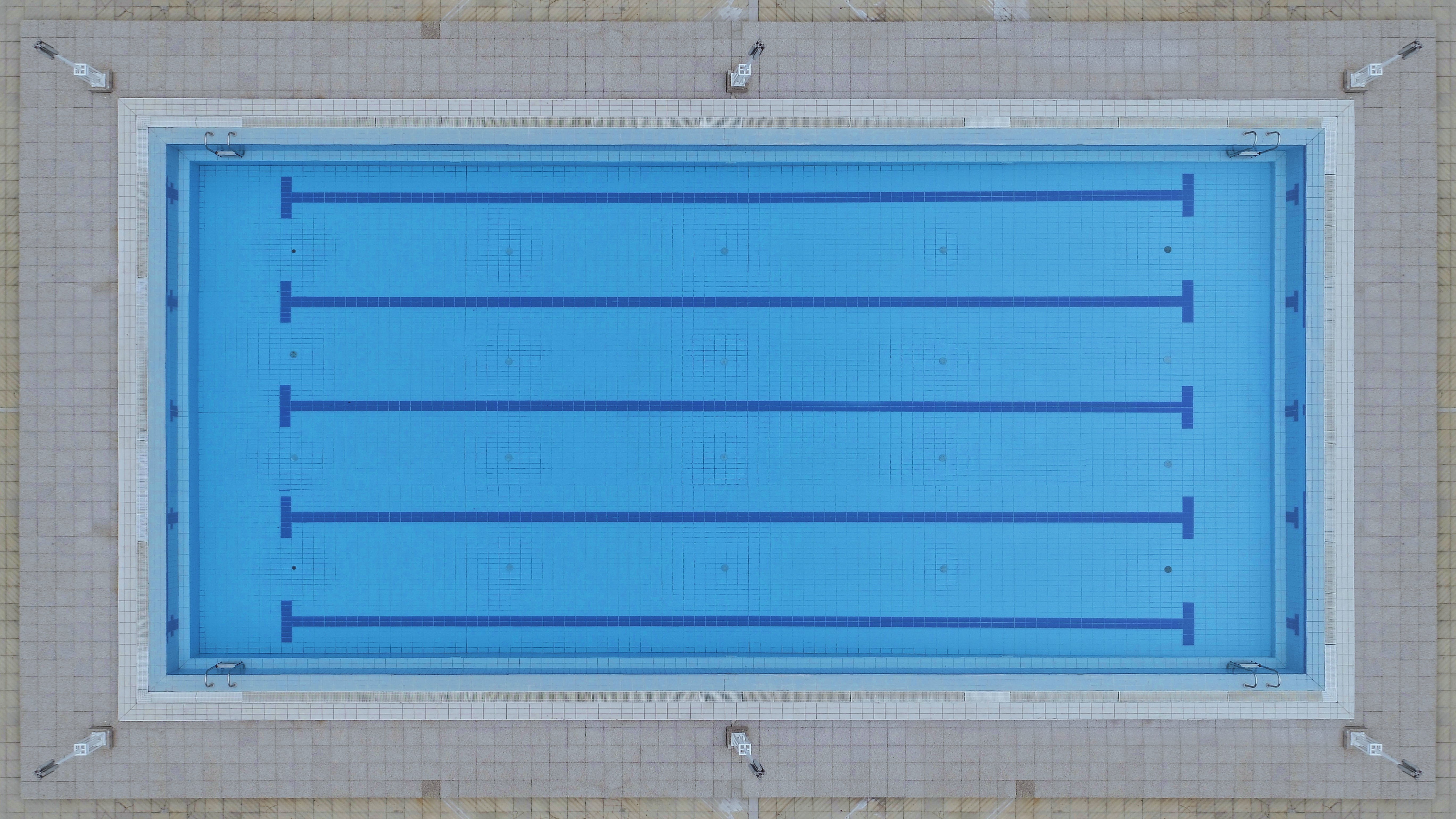shutter, wood - material, animal, swimming pool, indoors, built structure, 5K, window, day, swimming, lines, close-up, no People, olympic, outdoors, metal, HD Wallpaper