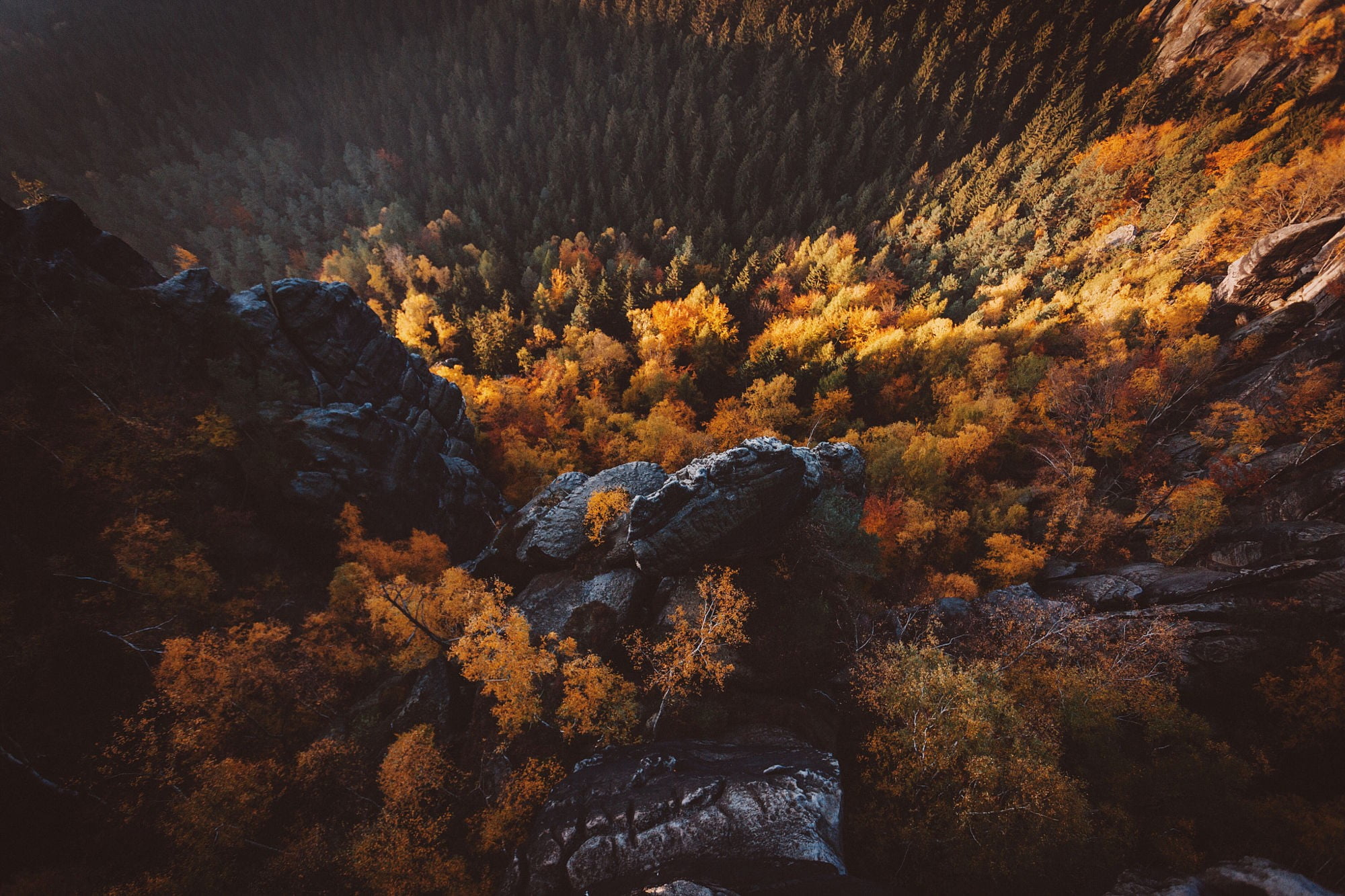 pine, multi Colored, leaf, autumn, land, brown, mountain Peak, scenics, nature, orange Color, view, plant, sunlight, sunset, growth, high angle view, autumn collection, HD Wallpaper