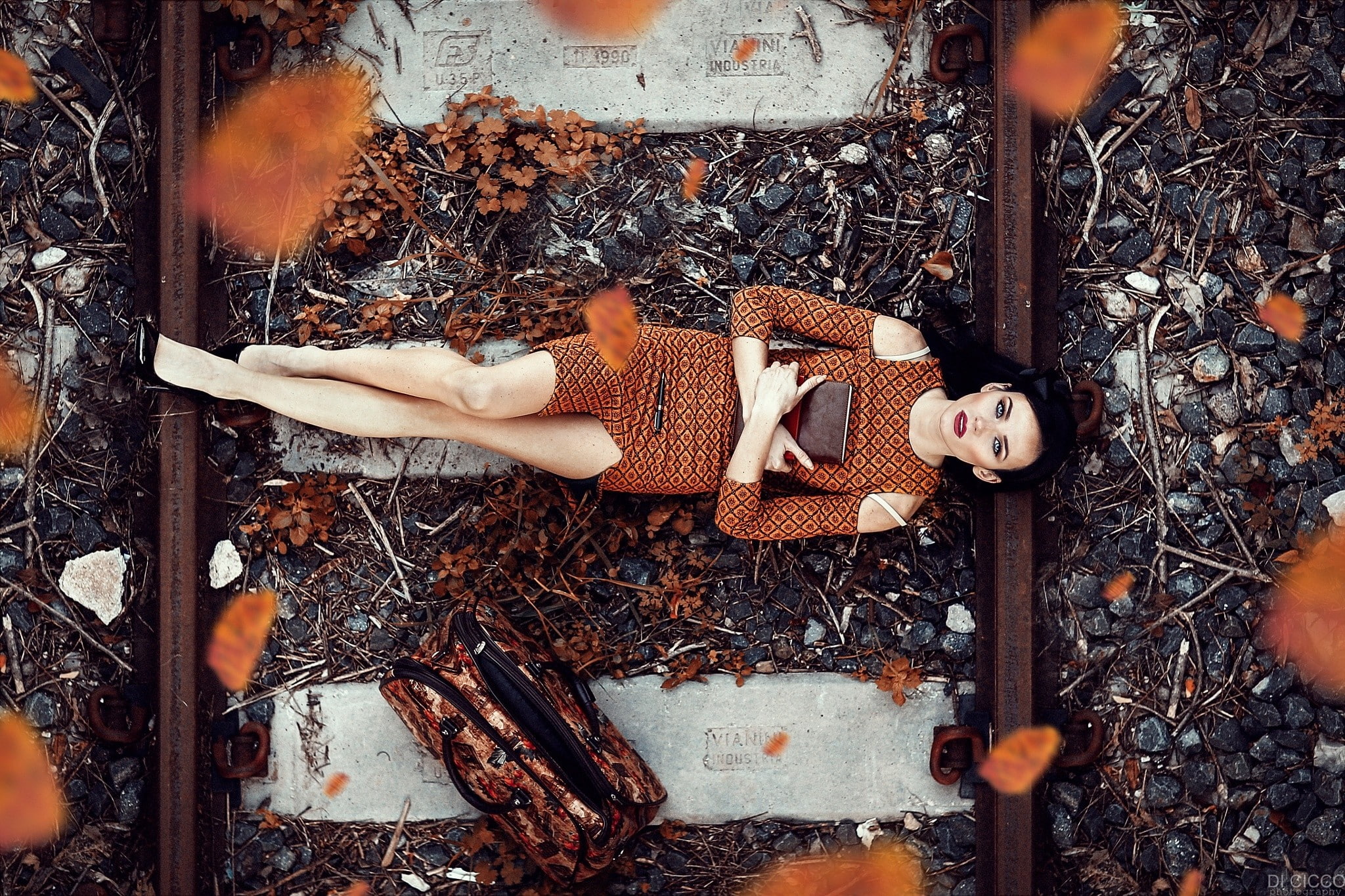 long hair, high angle view, plant, lying down, nature, toy, day, model, food, brown, dress, looking at viewer, railway, close-up, 1080P, vegetable, human representation, HD Wallpaper