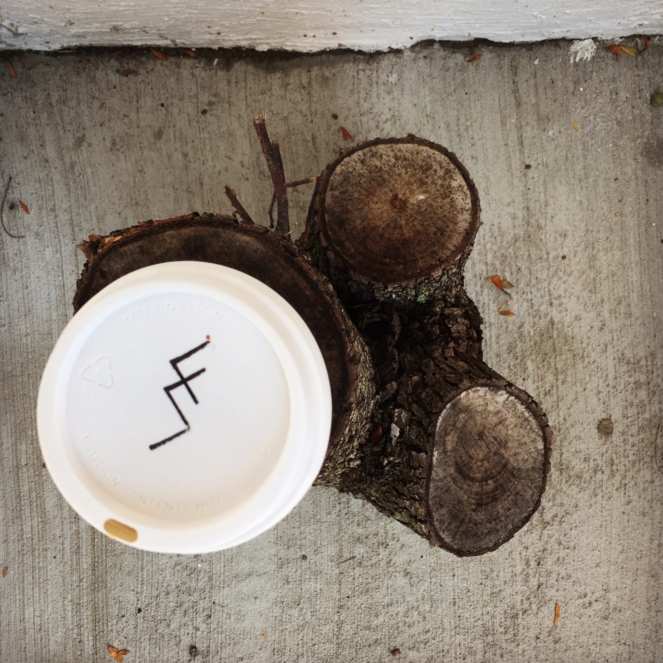 high angle view, indoors, freshness, united states, day, refreshment, concrete, wood - material, cincinnati, brown, wellbeing, lid, table, mug, tree, wood, Phone HD Wallpaper