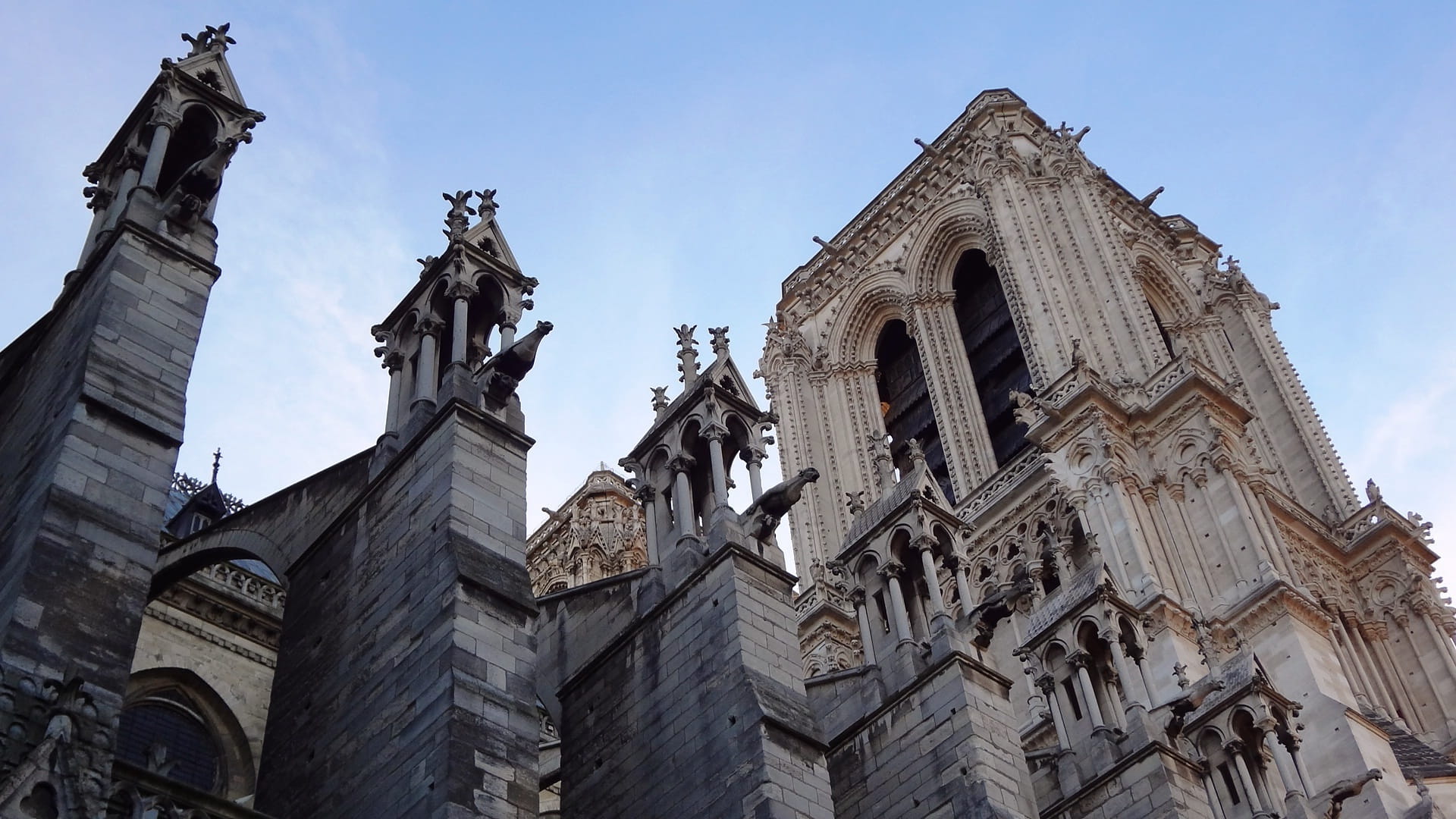 travel Locations, notre dame, Church, Gargoyles, history, day, sky, places Of Worship, cathedral, travel destinations, famous Place, 1080P, nature, church, HD Wallpaper