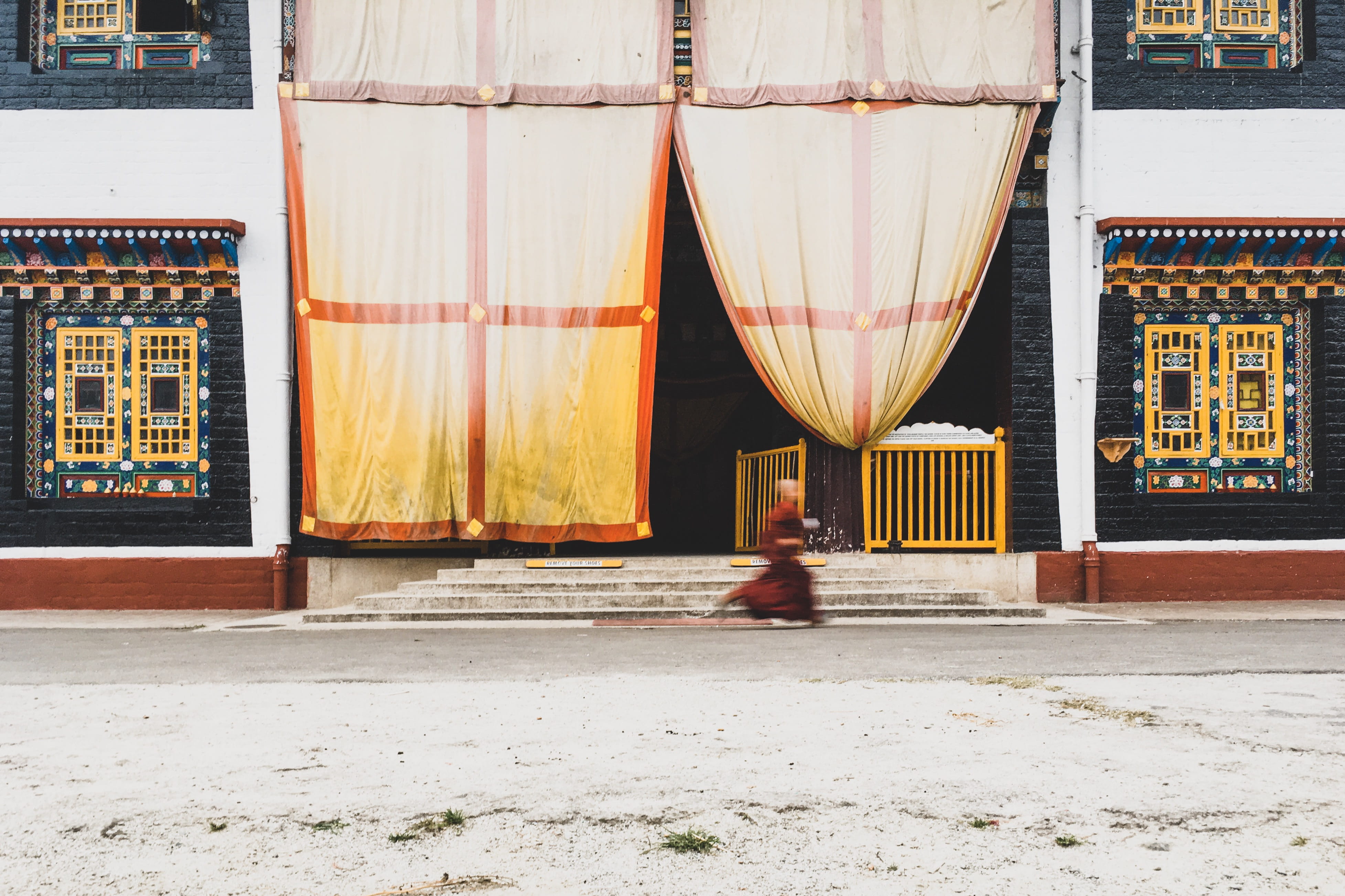 mammal, street, building exterior, indian architecture, day, curtain, no people, human, person, sunlight, culture, transportation, walking, footpath, tsuklakhang monastery, HD Wallpaper