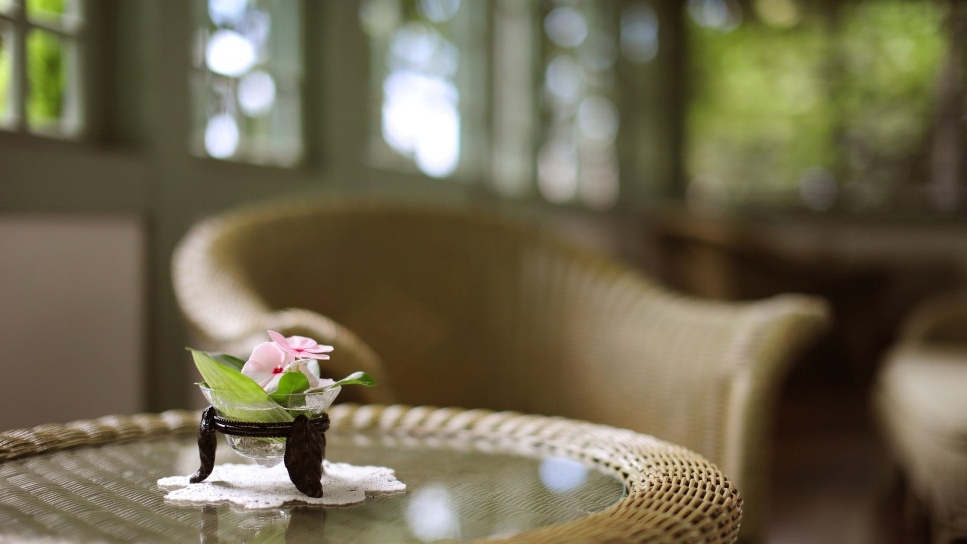 home interior, seat, 1080P, window, vase, furnishings, tables, plant, flower head, brown, room, napkin, focus on foreground, armchair, chairs, flowering plant, HD Wallpaper
