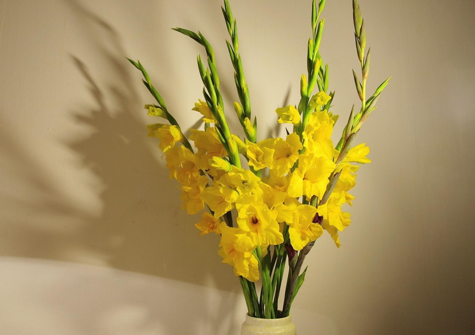 bunch of flowers, selective focus, inflorescence, vulnerability, 720P, flower arrangement, decoration, Bouquet, Vase, Yellow, Wall, petal, flower, plant, HD Wallpaper