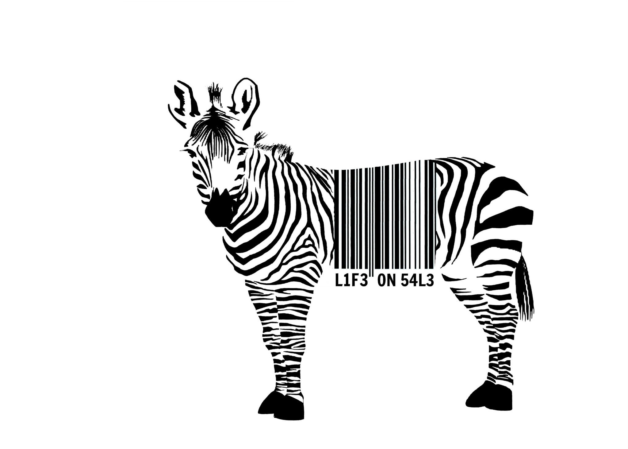 animal, vertebrate, mammal, striped, black color, pattern, monochrome, white color, animal markings, herbivorous, 1080P, animal themes, cut out, barcode, HD Wallpaper