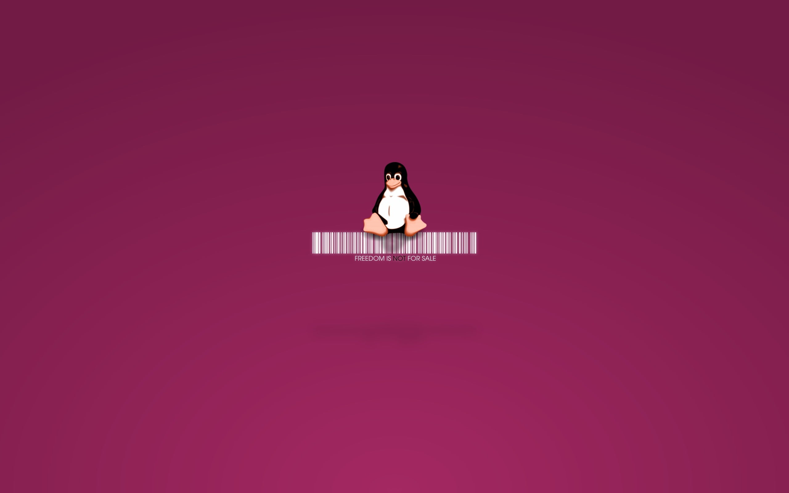 young adult, contemplation, Logo, one person, 2K, communication, indoors, sitting, Linux, front view, consumerism, women, cut out, studio shot, Barcode, HD Wallpaper