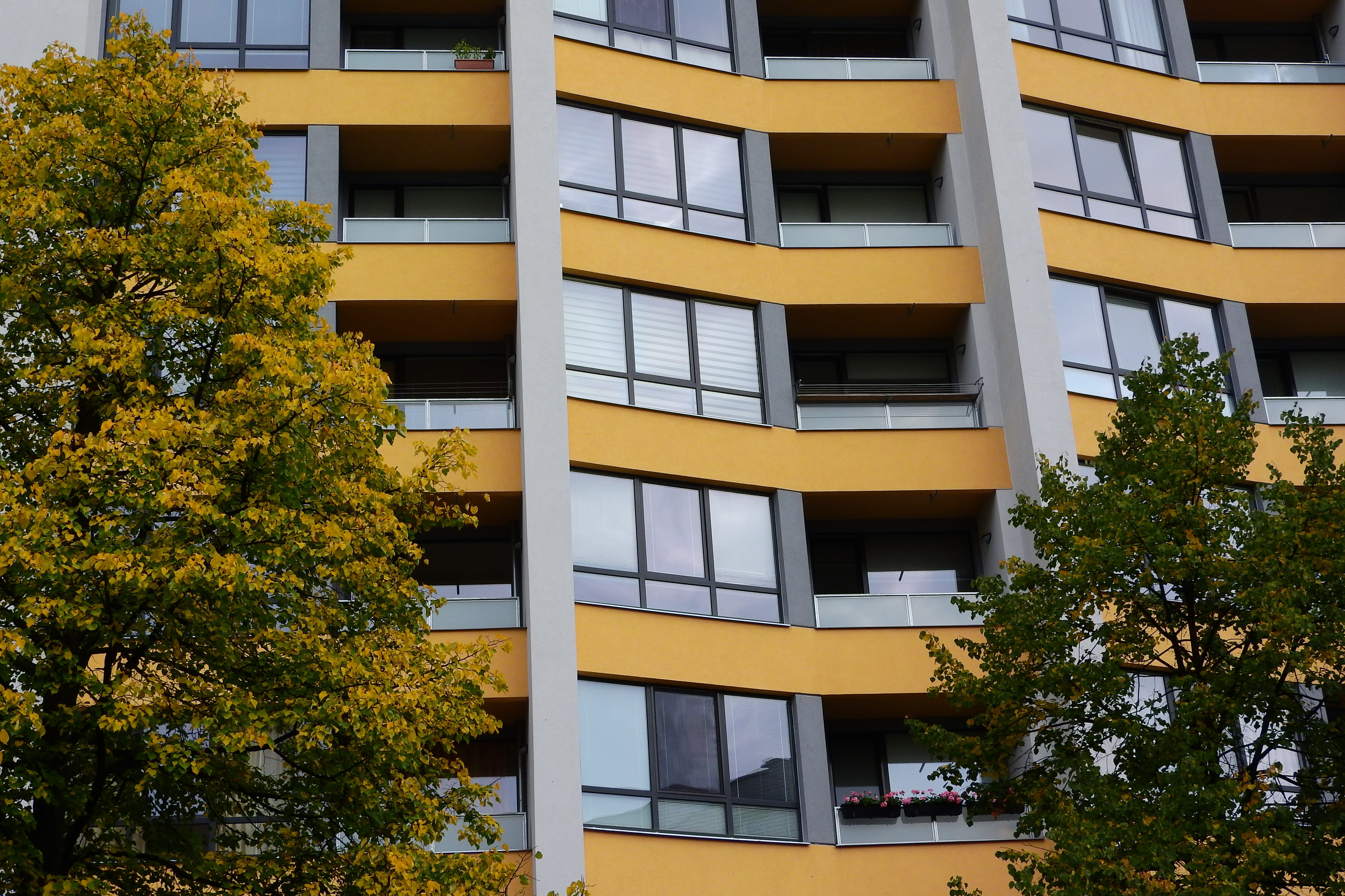 nature, balconies, no people, building exterior, prefabricated house, growth, window, low angle view, tree, apartment, outdoors, clear sky, urban housing, HD Wallpaper