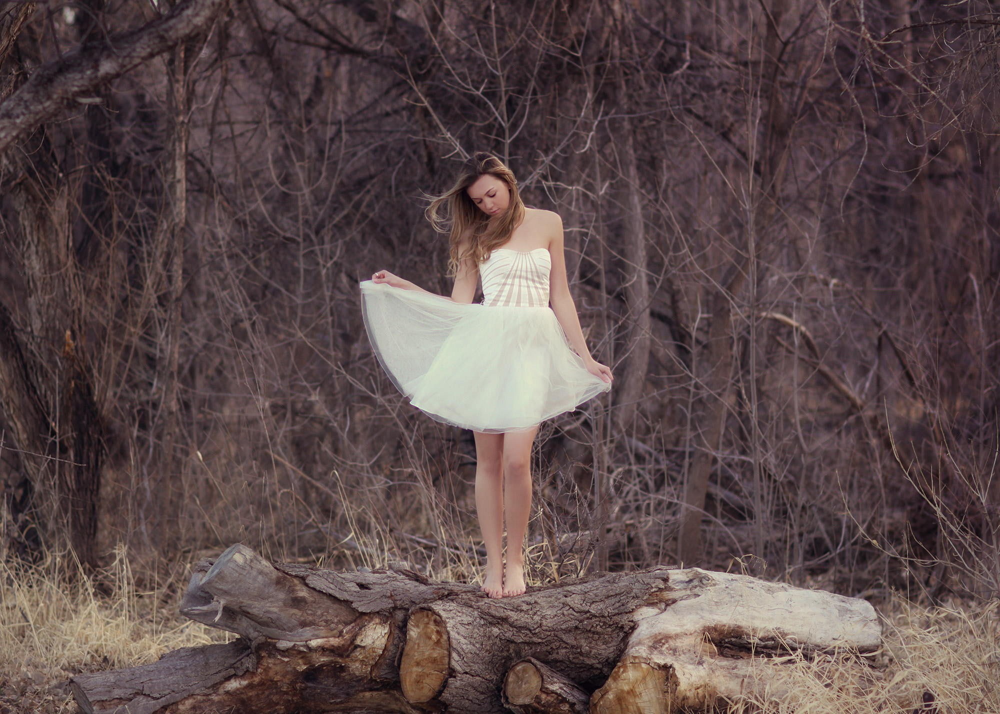 one person, clothing, beautiful woman, hair, full length, windy, plant, women outdoors, bare shoulders, woodland, outdoors, hairstyle, white dress, dress, HD Wallpaper