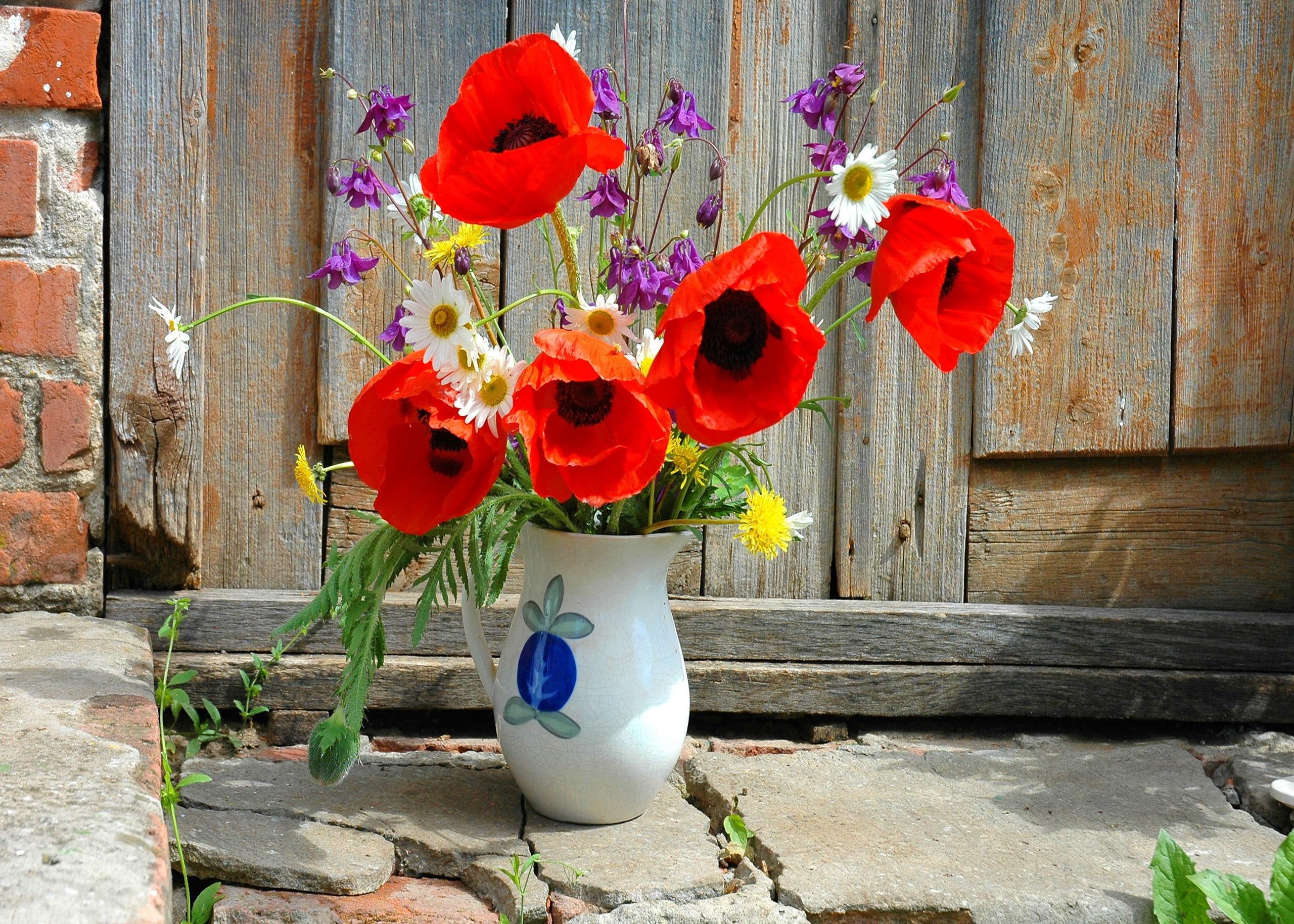 field flowers, bouquet, front, fresh, poppies, beautiful, house, vase, door, stones, nice, 2K, lovely, nature, HD Wallpaper