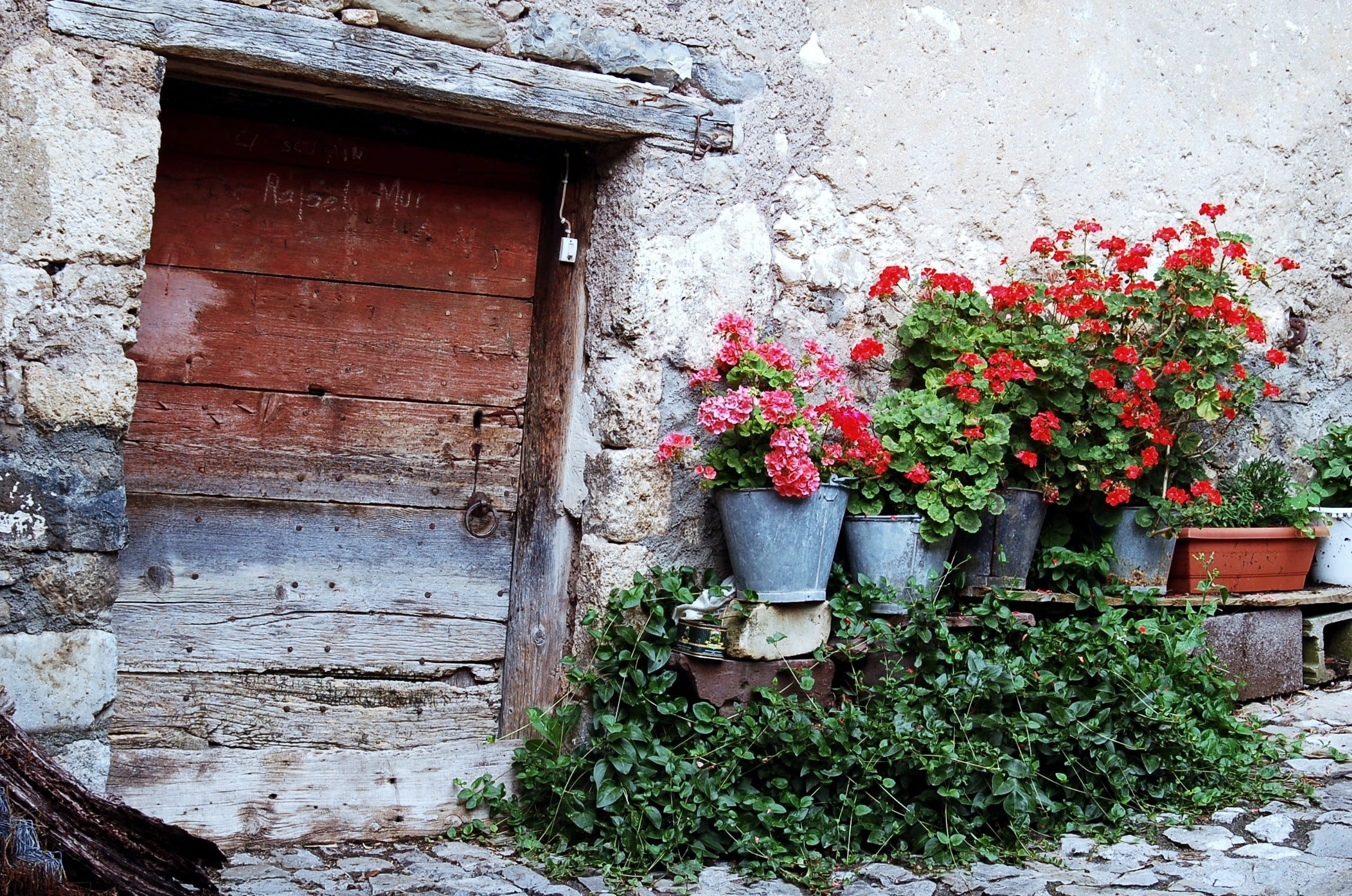facade, rustic, nature, growth, wooden, stone, mansion, wall - building feature, potted plant, flower pot, fragility, flowering plant, flowers, stone house, HD Wallpaper