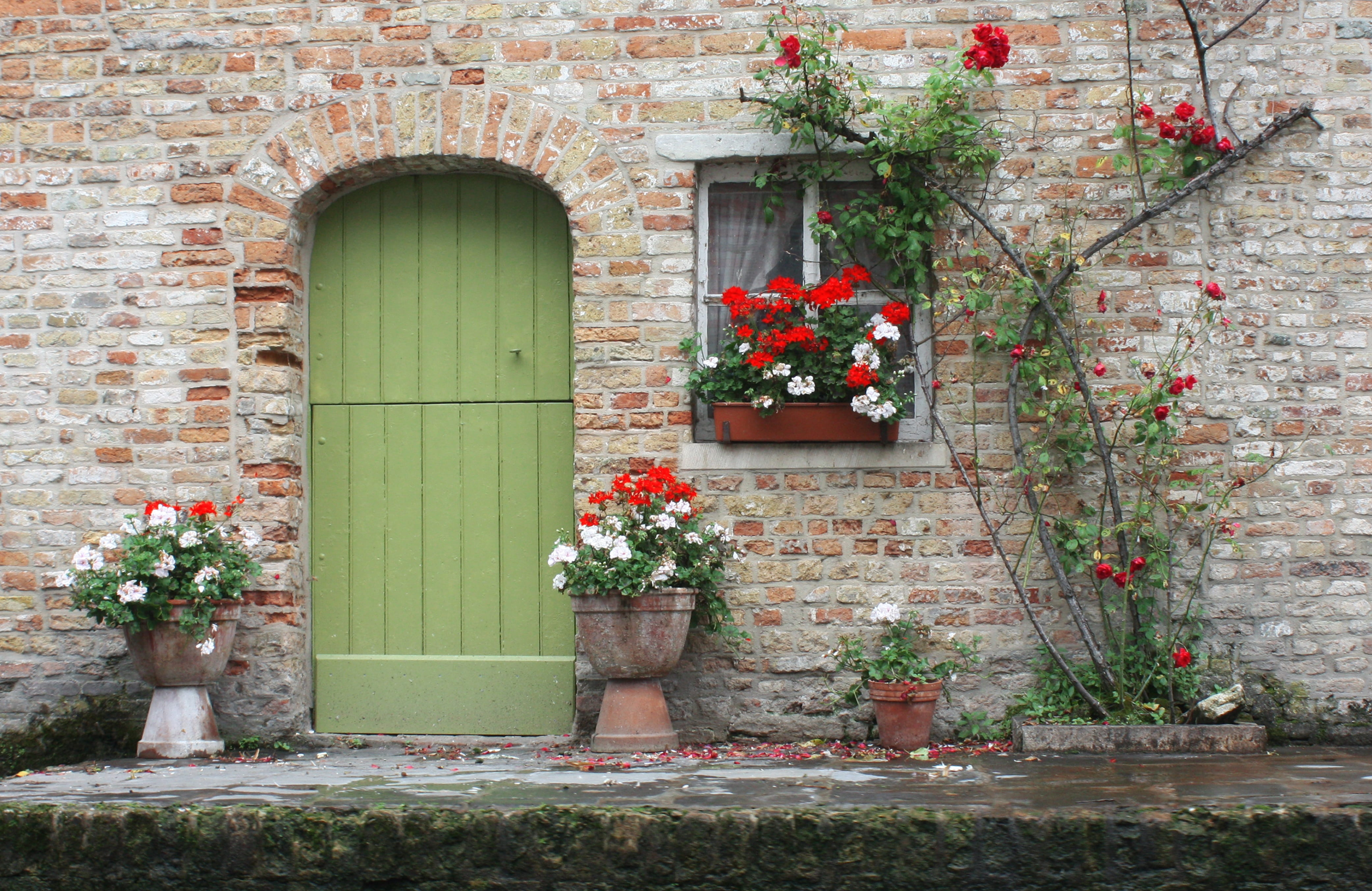 bricked, 4K, petaled, historical centre, closed, old, window, flower, white, wall, door, flowering plant, growth, day, building exterior, entrance, architecture, HD Wallpaper
