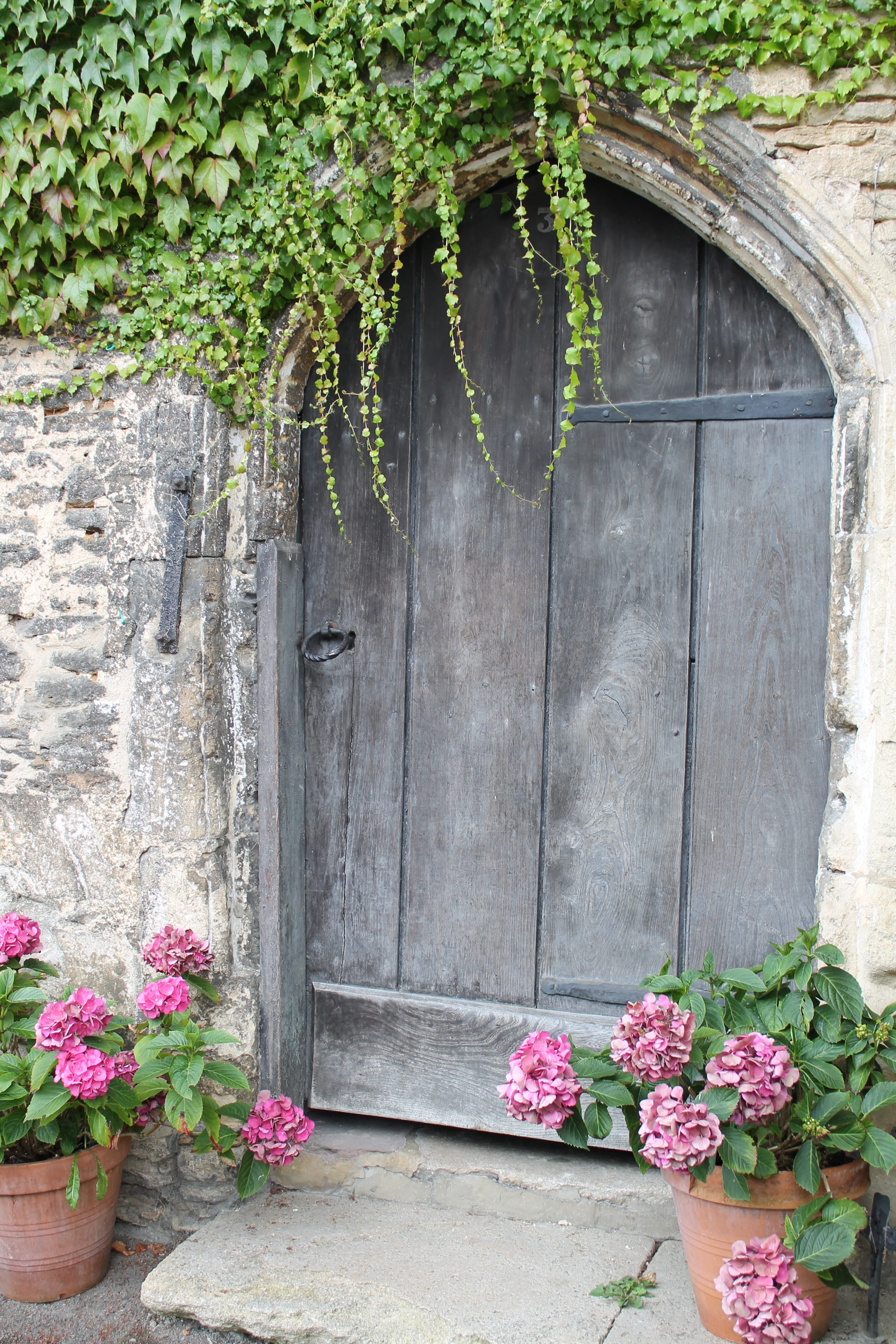 plant part, wall - building feature, ivy, nature, house, front door, day, wood, building, outdoors, 4K, growth, plants, plant, garden, brown, flowers, Phone HD Wallpaper