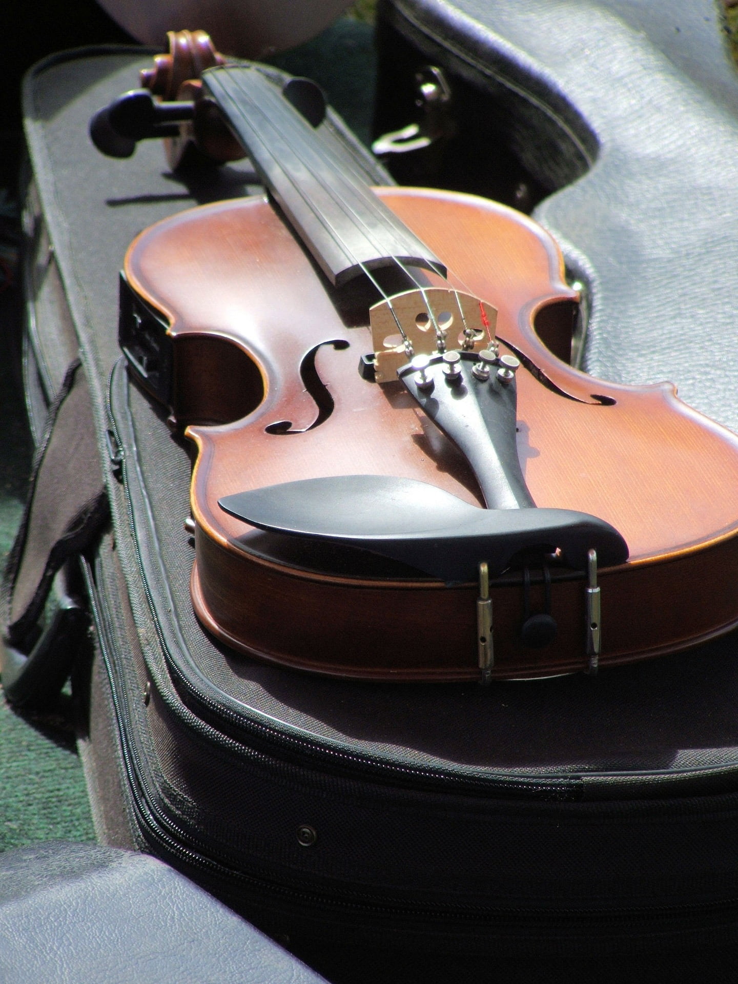 daytime, band, artistic, performance, orchestra, play, brown, bag, rehearsal, harmony, violin, black color, acoustic, instrument, style, notes, high angle view, Phone HD Wallpaper