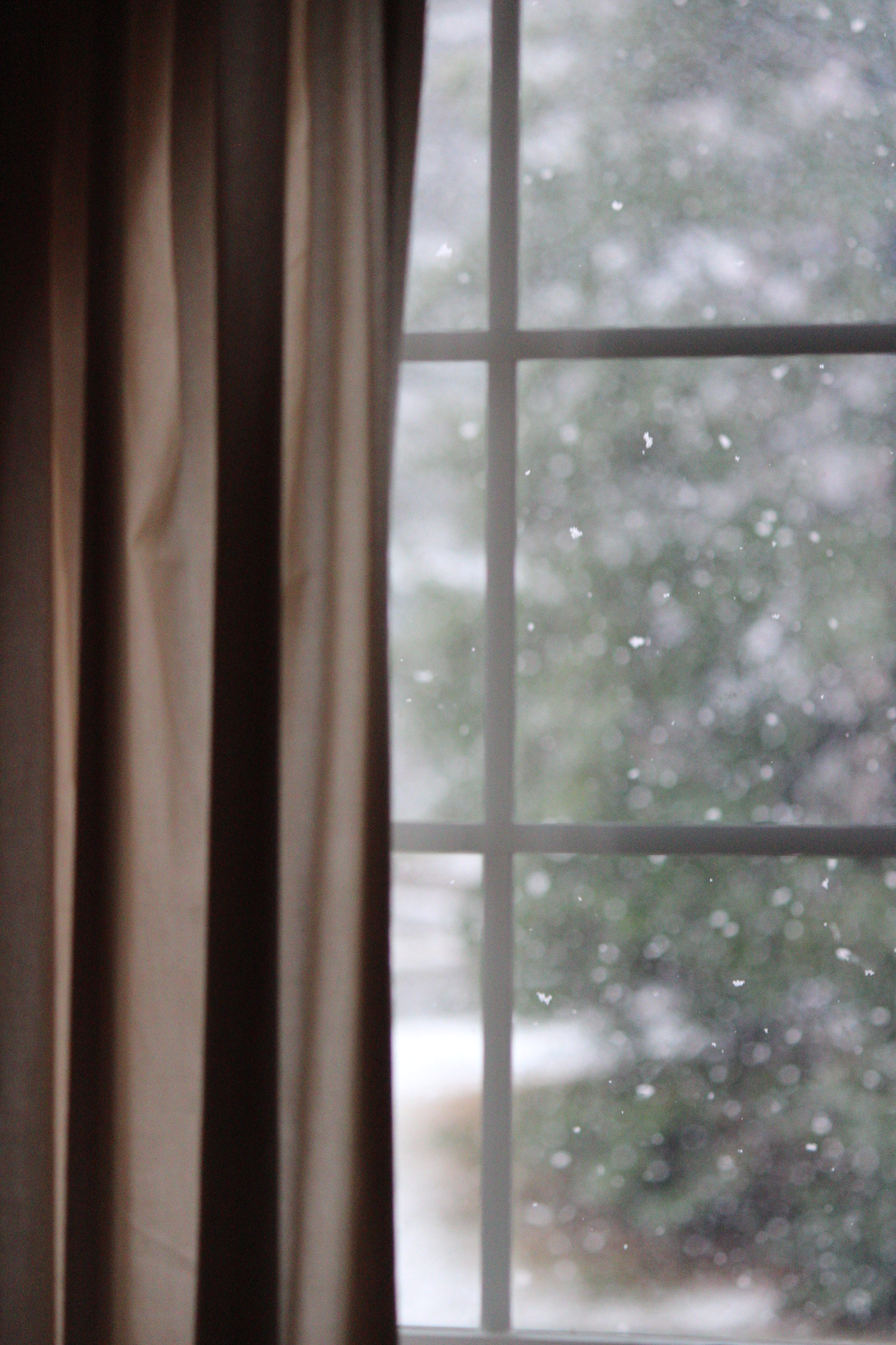house, focus on foreground, united states, transparent, glass - material, curtains, curtain, winter, windows, green, snowy, st. louis, close-up, Phone HD Wallpaper