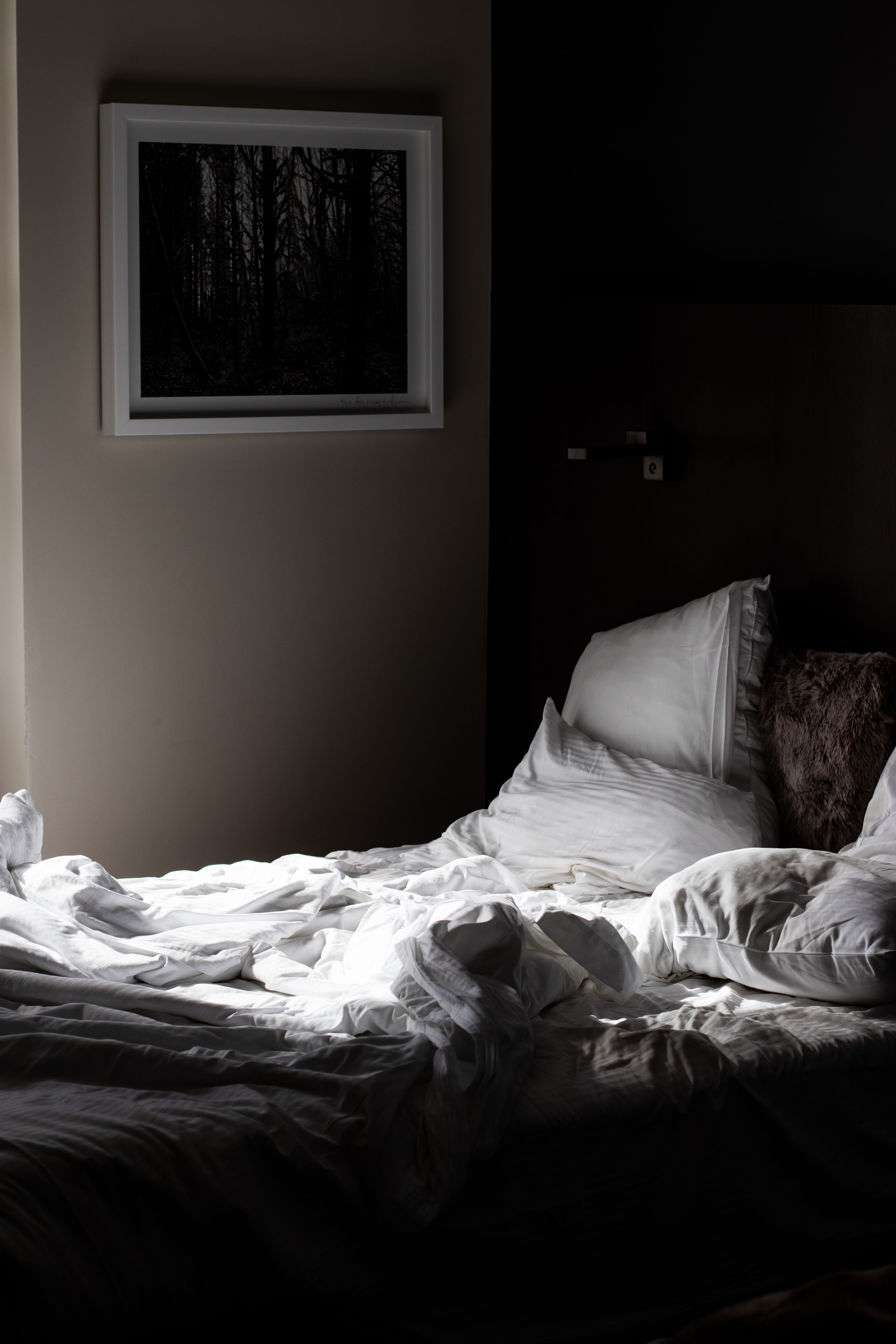 domestic Room, frame, 5K, oregon, white, relaxation, sun, bedding, hotel, headboard, light, hotel Room, sheet, home Interior, no People, pillow, blanket, Phone HD Wallpaper
