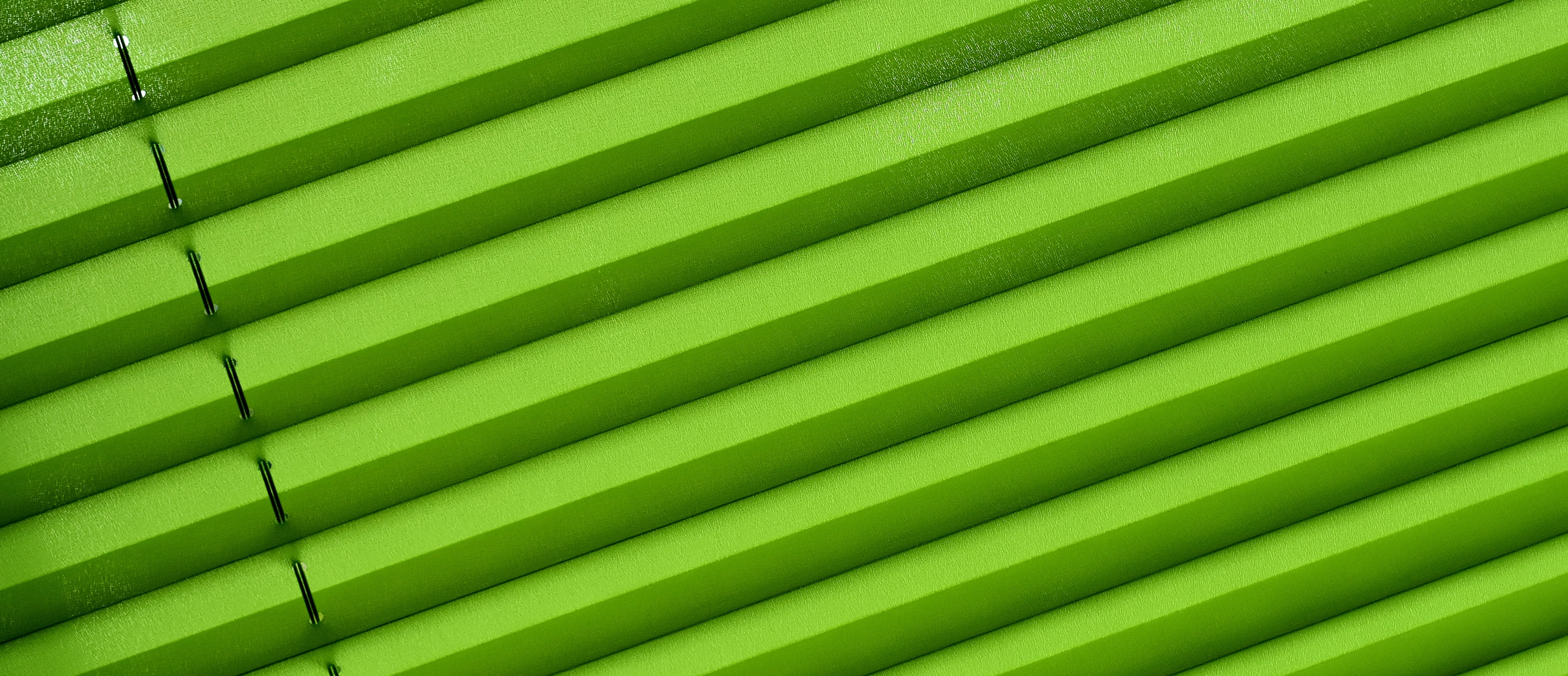 background image, window, leaf, brightly lit, no people, pattern, striped, green, day, growth, plant part, privacy, textured, plant, close-up, fabric, nature, HD Wallpaper