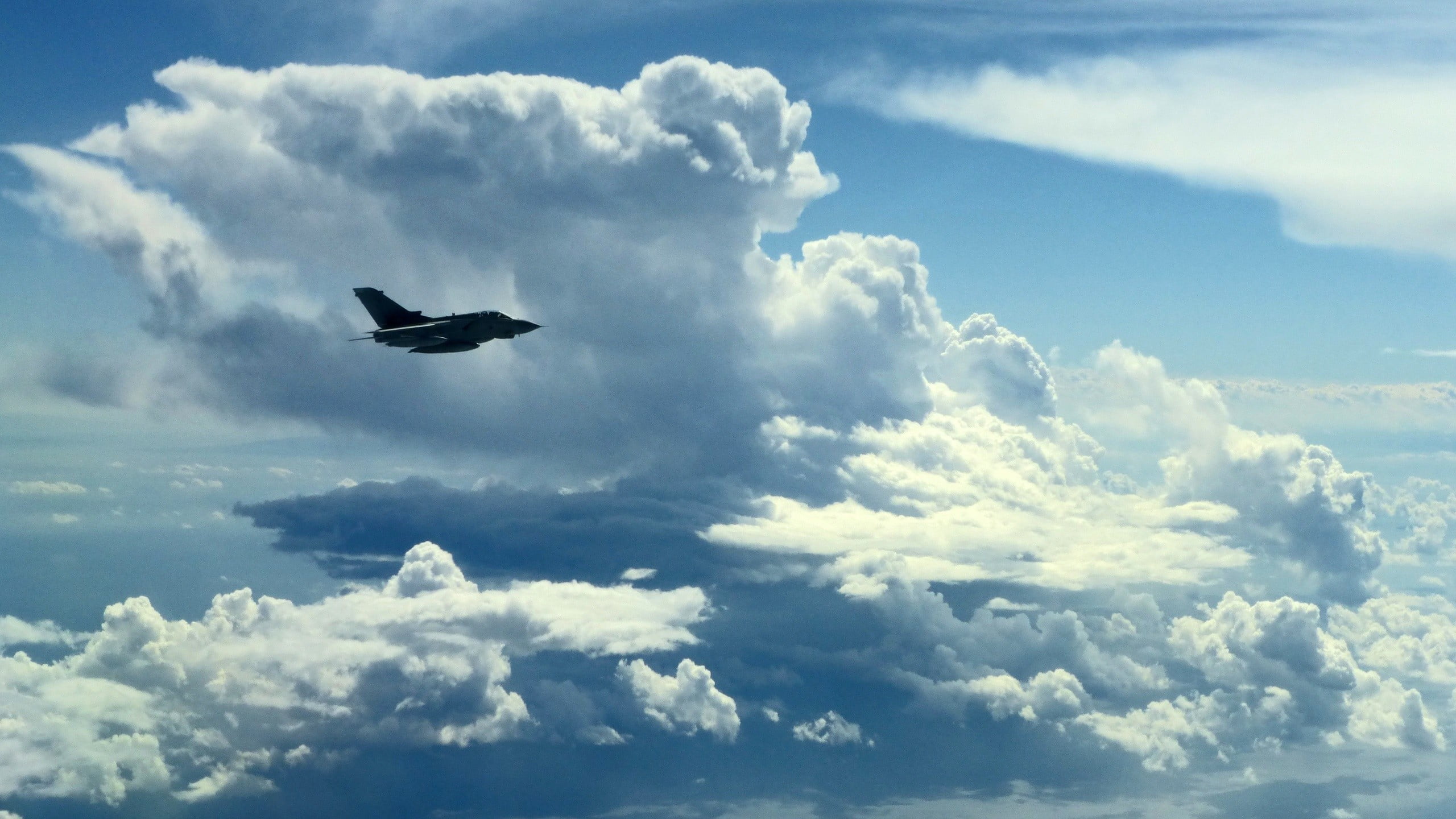 flying, mid-air, nature, blue, vertebrate, outdoors, sky, day, ominous, scenics - nature, no people, fluffy, animal, low angle view, one animal, animal wildlife, HD Wallpaper