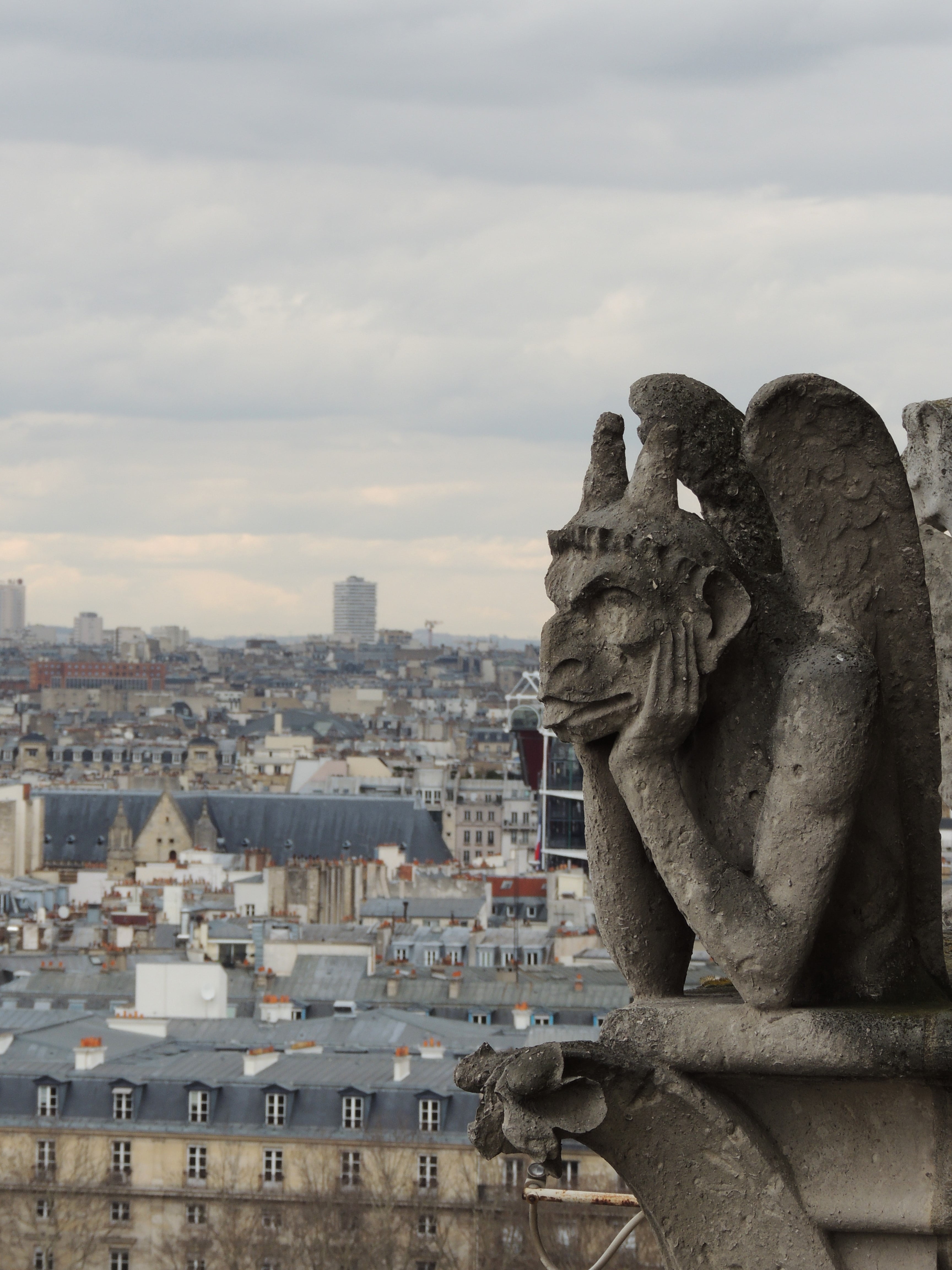 representation, craft, cathedral, cloud - sky, nature, water, monster, cityscape, sky, notre dame, chimera, 4K, french, art and craft, france, travel destinations, Phone HD Wallpaper