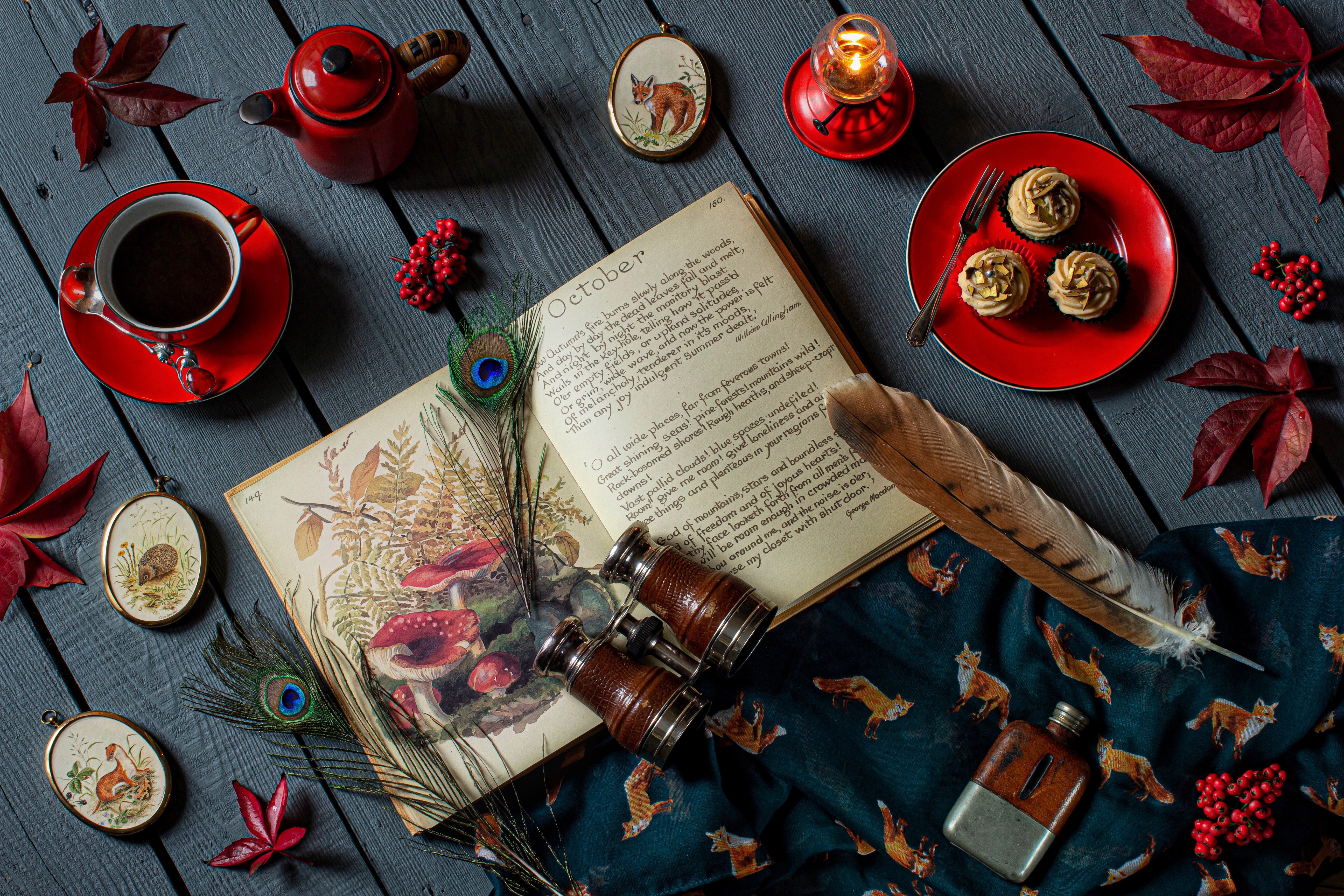 binoculars, leaves, style, kettle, book, 5K, feathers, cupcakes, tea, Cup, still life, berries, candle, HD Wallpaper