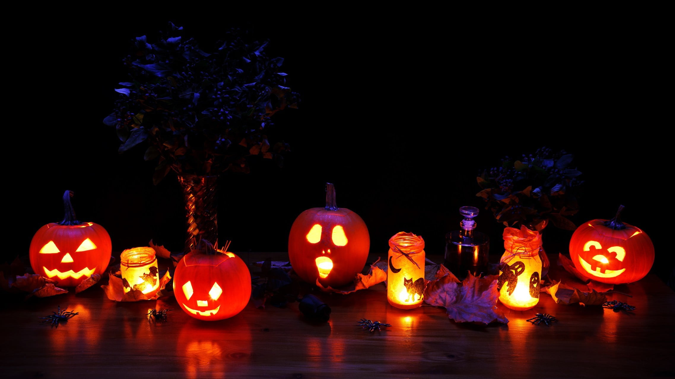 spider, Jack, Sabbath, decoration, pumpkin, craft, plant, wizards, perfume, candles, holiday - event, lights, night, evil, jack-o-lantern, creativity, spirits, HD Wallpaper