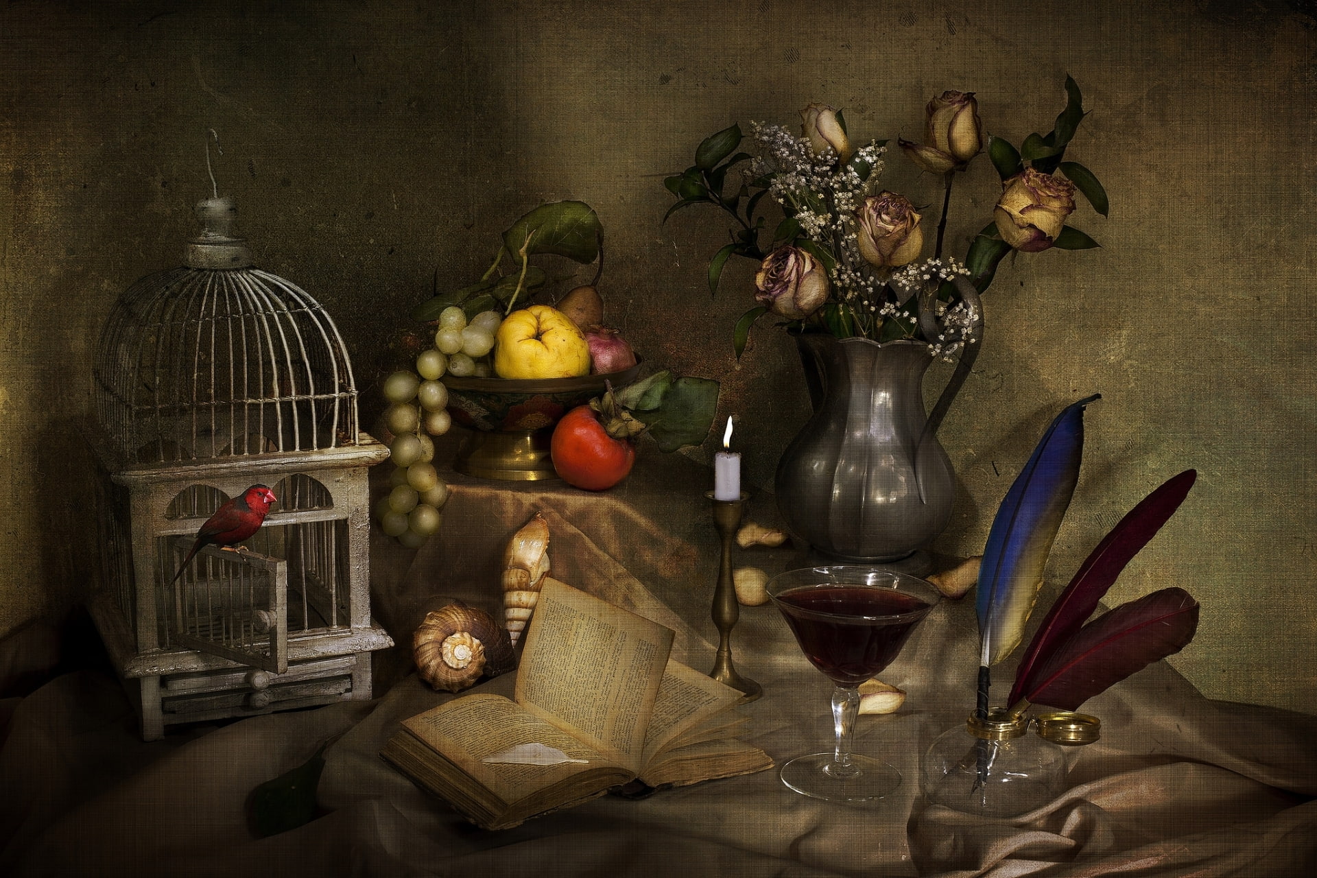 garnet, quince, shell, wine, still life, 1080P, roses, glass, bird, bouquet, fruit, book, cell, persimmon, texture, candle, grapes, feathers, HD Wallpaper