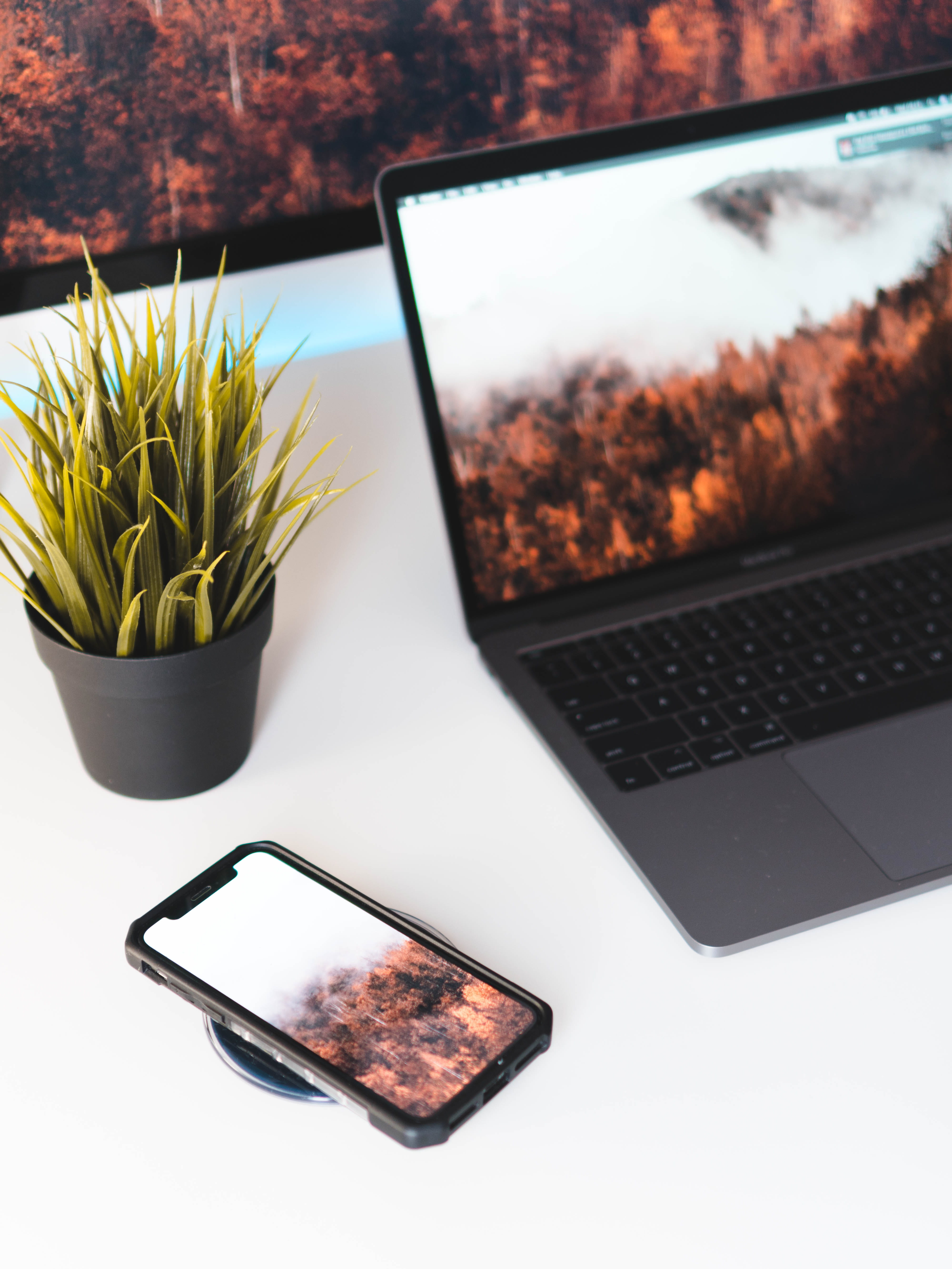 plant, connection, 5K, entrepreneur, tech, computer, wireless charger, laptop, workspace, minimal, table, no people, iphone x, device screen, still life, Phone HD Wallpaper