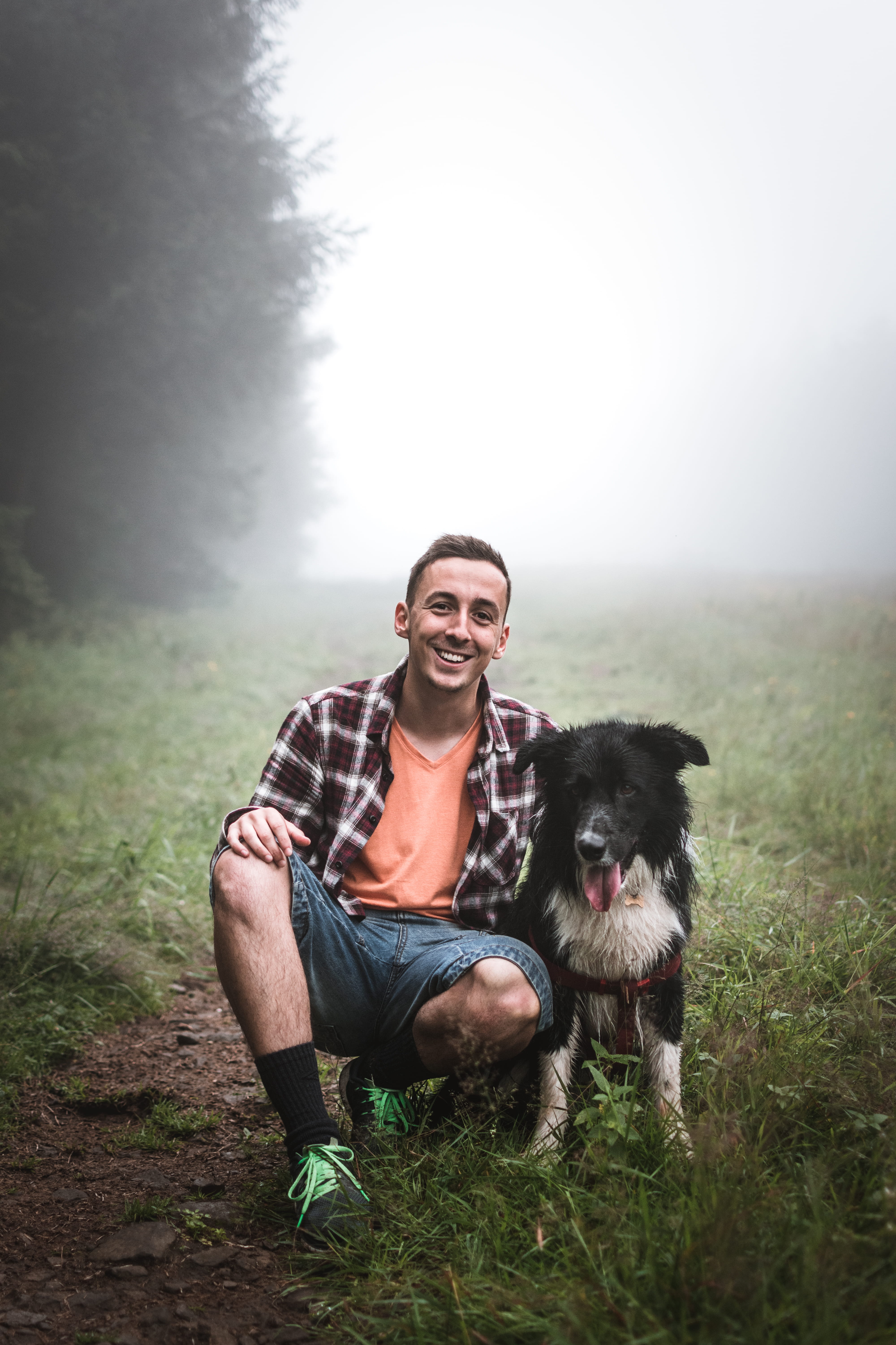 dog, park - Man Made Space, embracing, fog, mist, purebred Dog, holding, outdoors, people, plaid shirt, positive Emotion, mans best friend, happiness, border collie, Phone HD Wallpaper
