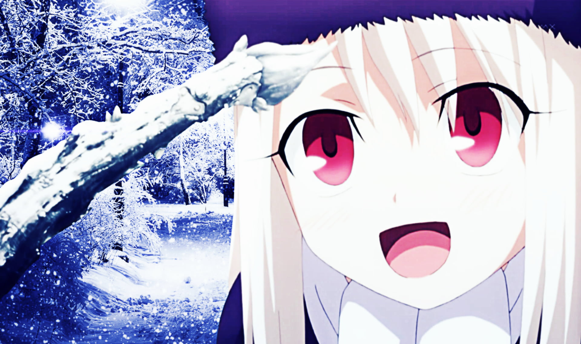 nature, tree, no people, Fate/kaleid liner Prisma Illya, winter, 1080P, focus on foreground, cold temperature, snow, outdoors, plant, sunlight, covering, HD Wallpaper