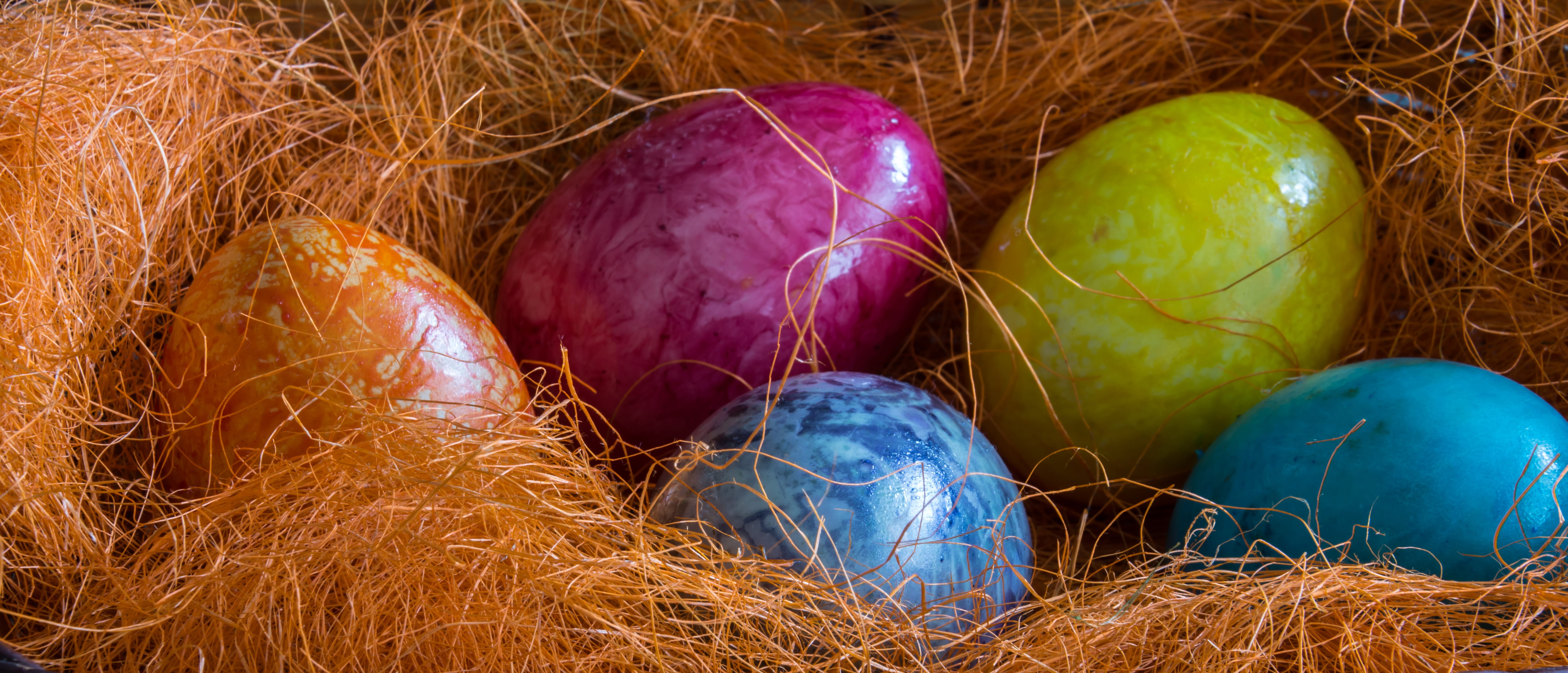 springtime, traditional, animal nest, tradition, celebrate, indoors, easter egg hunt, purple, decoration, high angle view, painted, Spring, color Image, HD Wallpaper