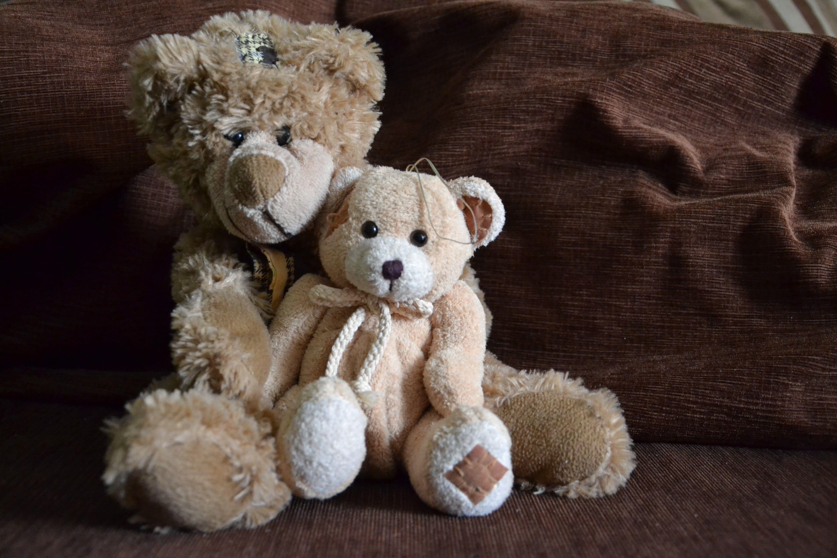 brown, home interior, gift, fluffy, childhood, children, indoors, softness, gifts, innocence, stuffed, kids, misiak, bear, toys, stuffed toy, furniture, HD Wallpaper