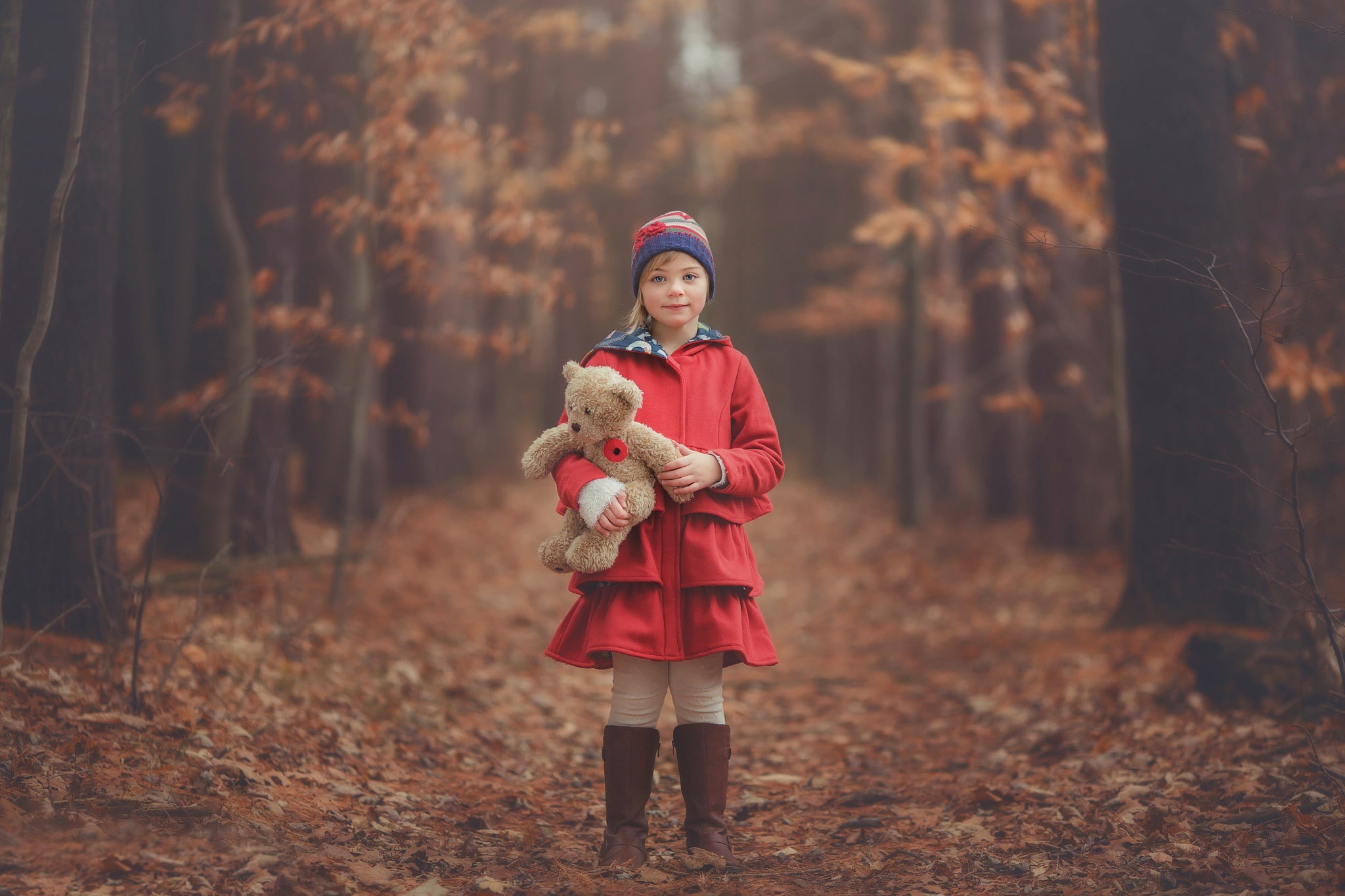 1080P, forest, bear, Autumn, teddy, toy, girl, Teddy Bear, HD Wallpaper
