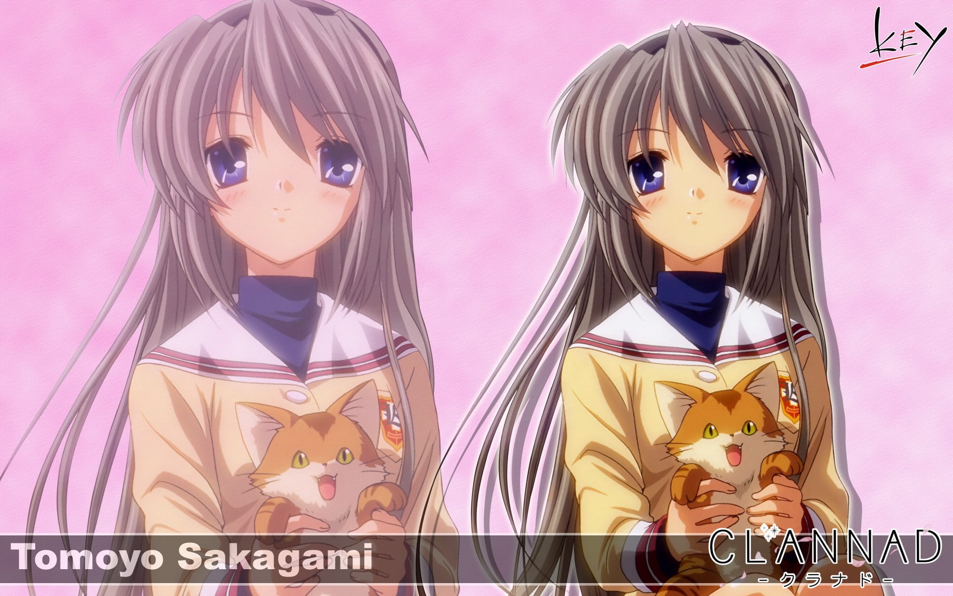 tomoyo, anime, 1080P, sakagami, sakagami tomoyo, clannad, anime girls, girls, cat, HD Wallpaper