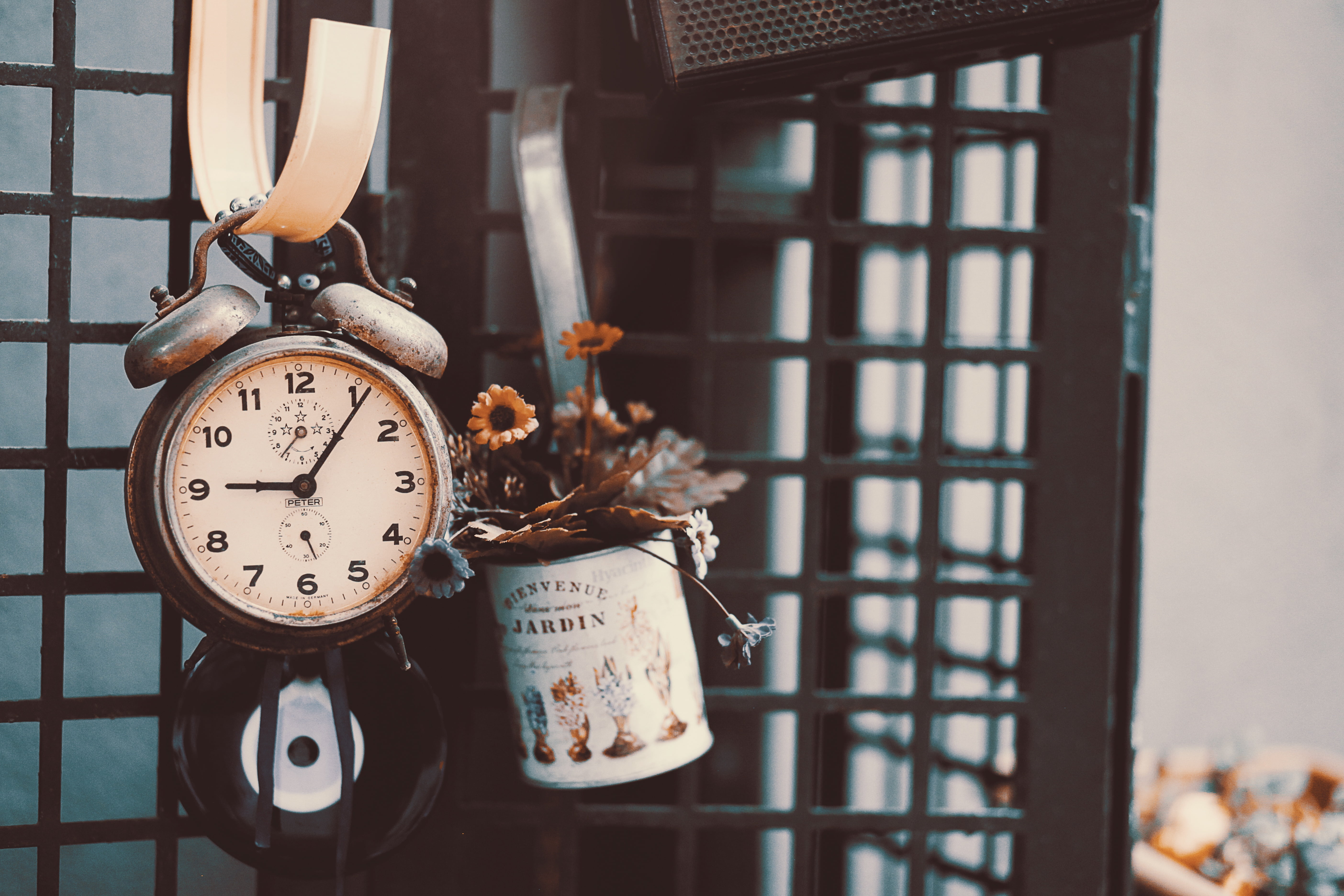 bird, 5K, day, concepts, pattern, timer, focus on foreground, backgrounds, indoors, clock, still life, close-up, no People, metal, old, animal representation, HD Wallpaper