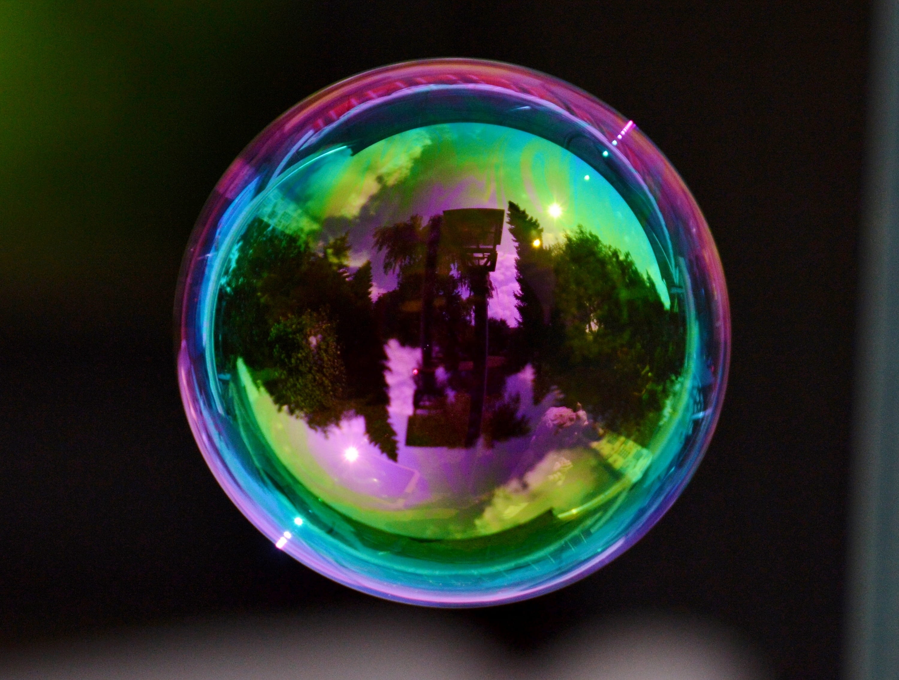 shape, sphere, nature, geometric shape, soapy water, indoors, trees, round, float, 2K, no people, close-up, bubble, multi colored, soap sud, circle, showing, HD Wallpaper