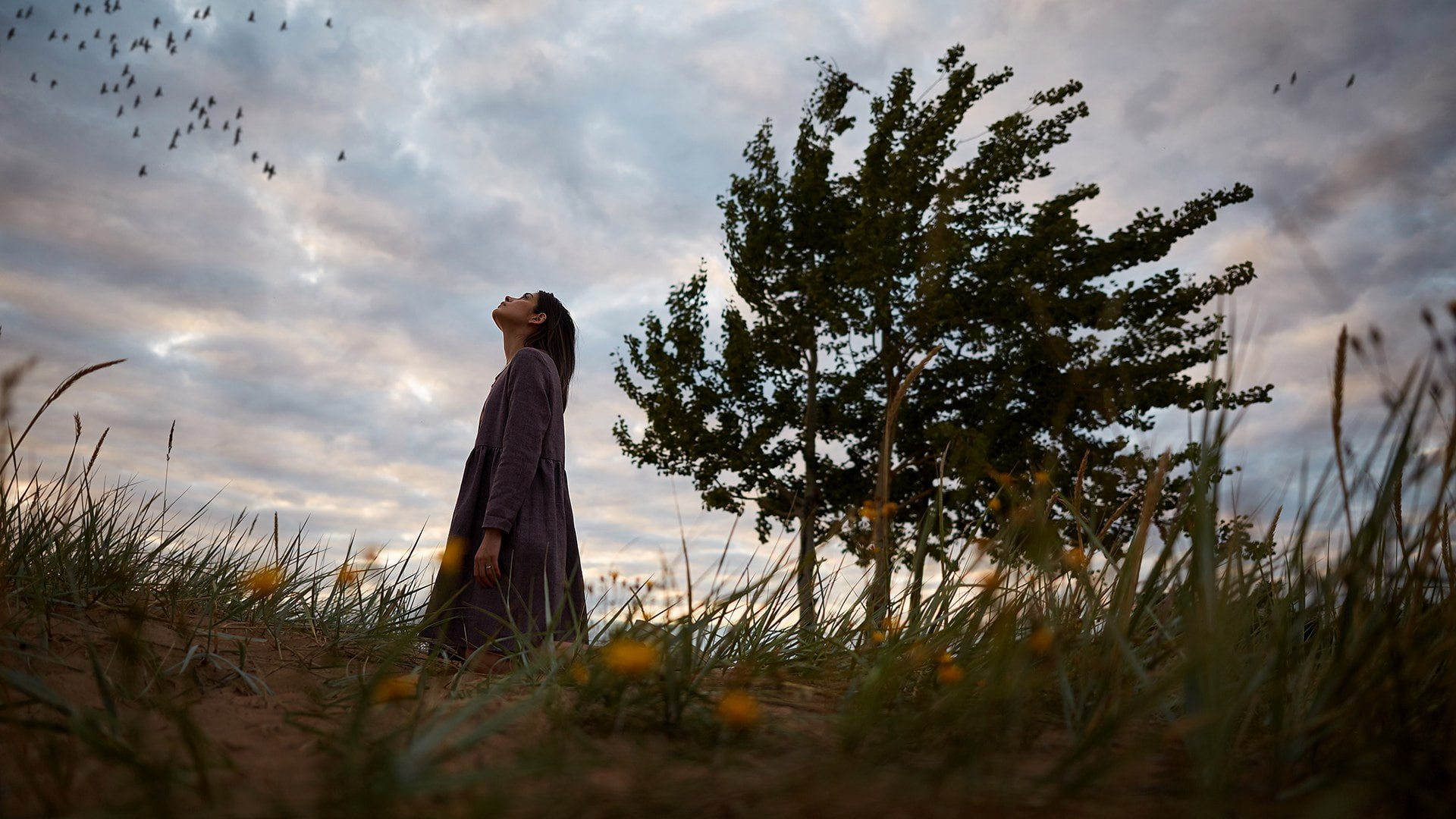 Chill Out, Kristina Temerova, casual clothing, sky, land, grass, Russian Model, standing, photography, leisure activity, 1080P, three quarter length, tree, HD Wallpaper