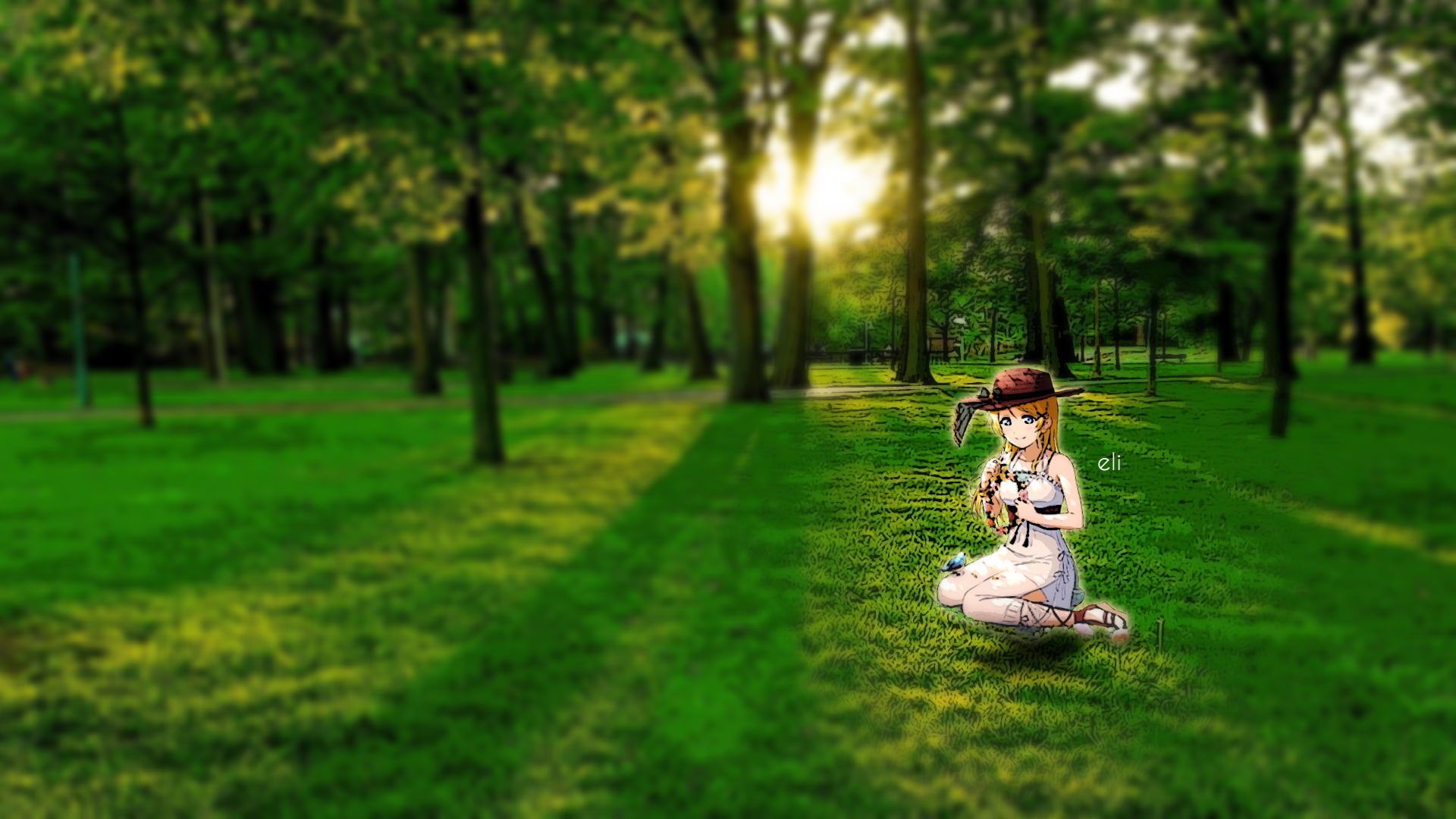 one person, blurred, nature, growth, grass, tree, leisure activity, land, women, lens flare, plant, beauty in nature, 1080P, females, selective focus, HD Wallpaper