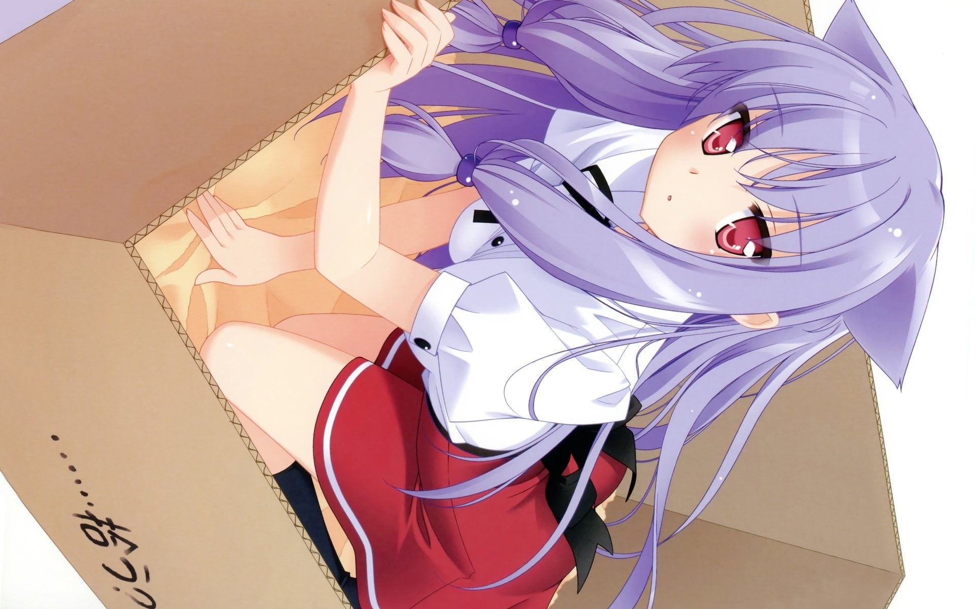 Pose, care, human body part, indoors, lifestyles, healthcare and medicine, young adult, Box, Mayoi neko overrun, technology, doctor, healthcare worker, HD Wallpaper