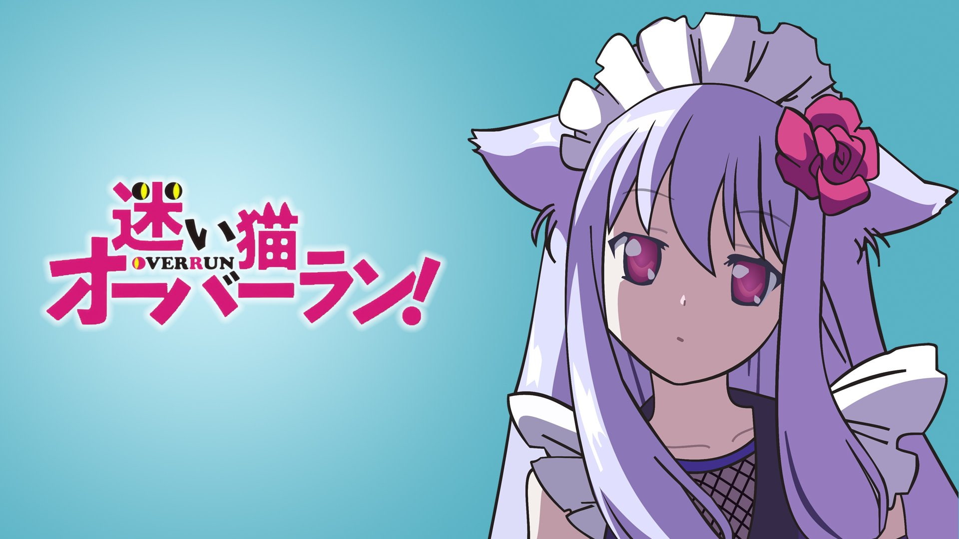 kiriya, animal, ears, neko, nozomi, mayoi, overrun, anime, 1080P, HD Wallpaper