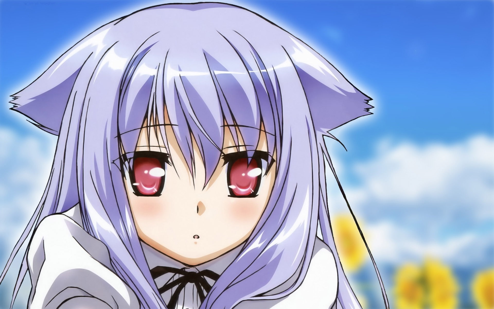 anime, 1080P, cloud - sky, Mayoi Neko Overrun!, Kiriya Nozomi, art and craft, architecture, sculpture, focus on foreground, day, nature, outdoors, built structure, HD Wallpaper