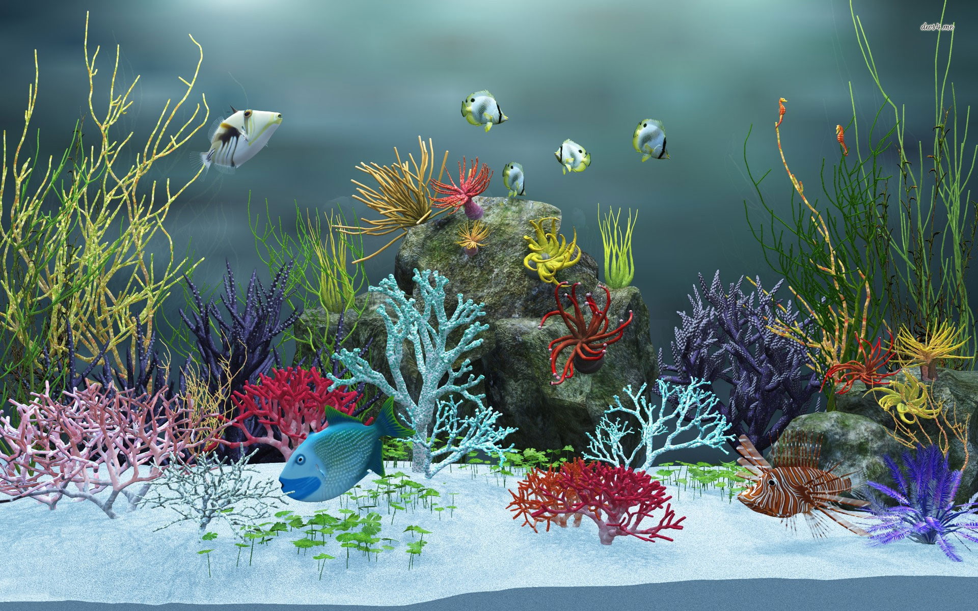 1920x1200, 1080P, Fish Aquarium, aquarium, moving, HD Wallpaper